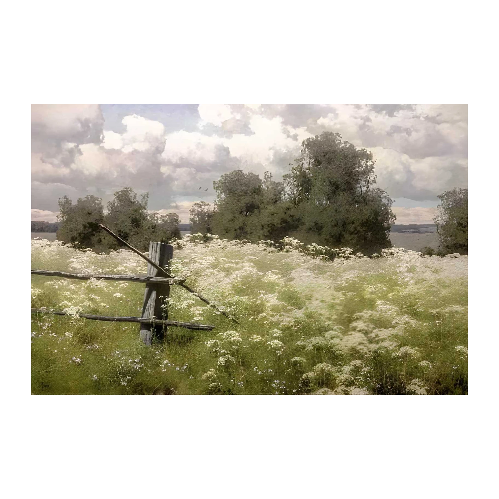 Serene Meadow Fence Landscape Wall Art
