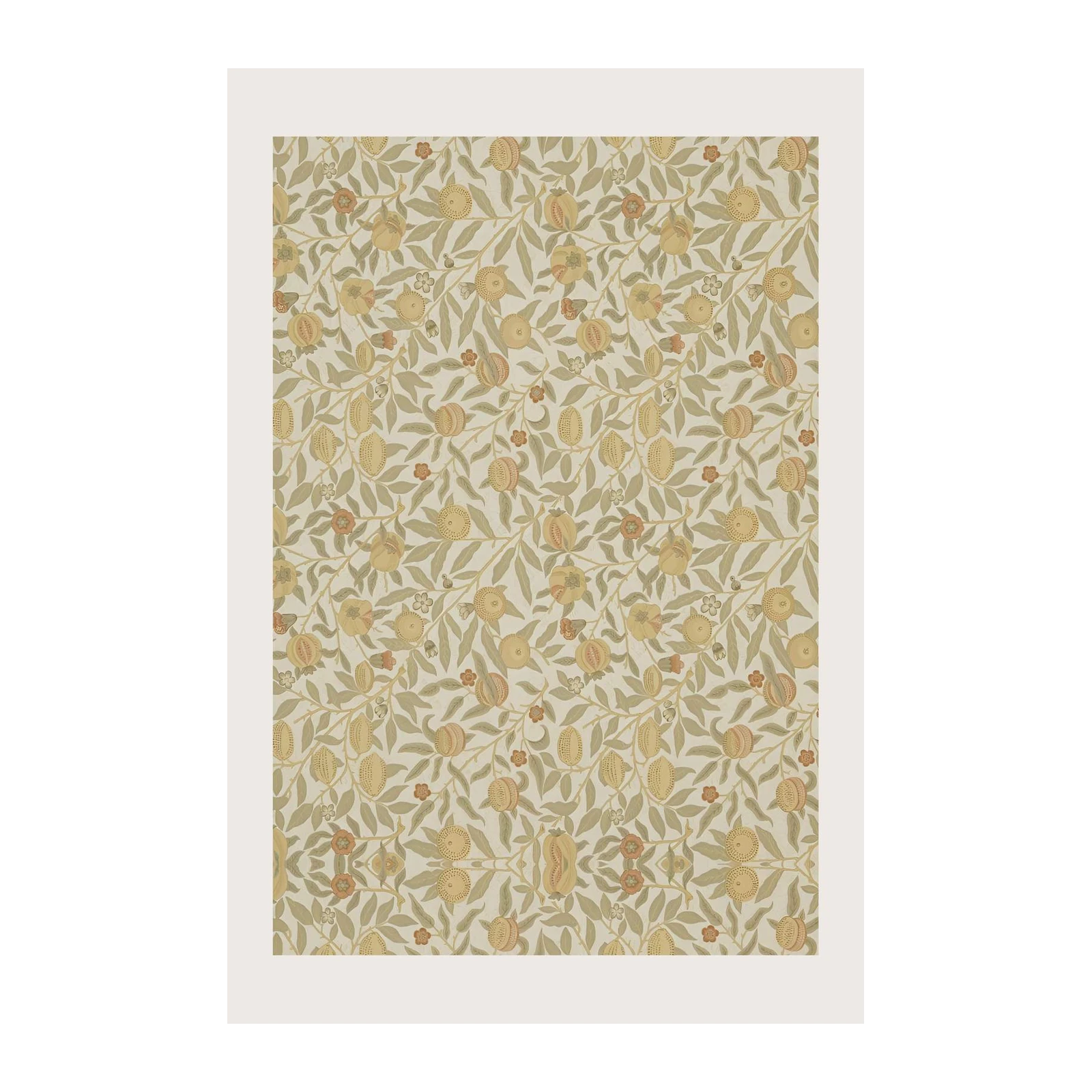 Vintage Pomegranate Botanical Wall Art Wall Art