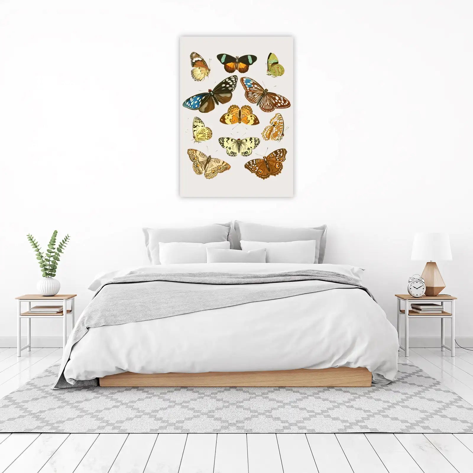 Vintage Butterfly Wall Art Wall Art