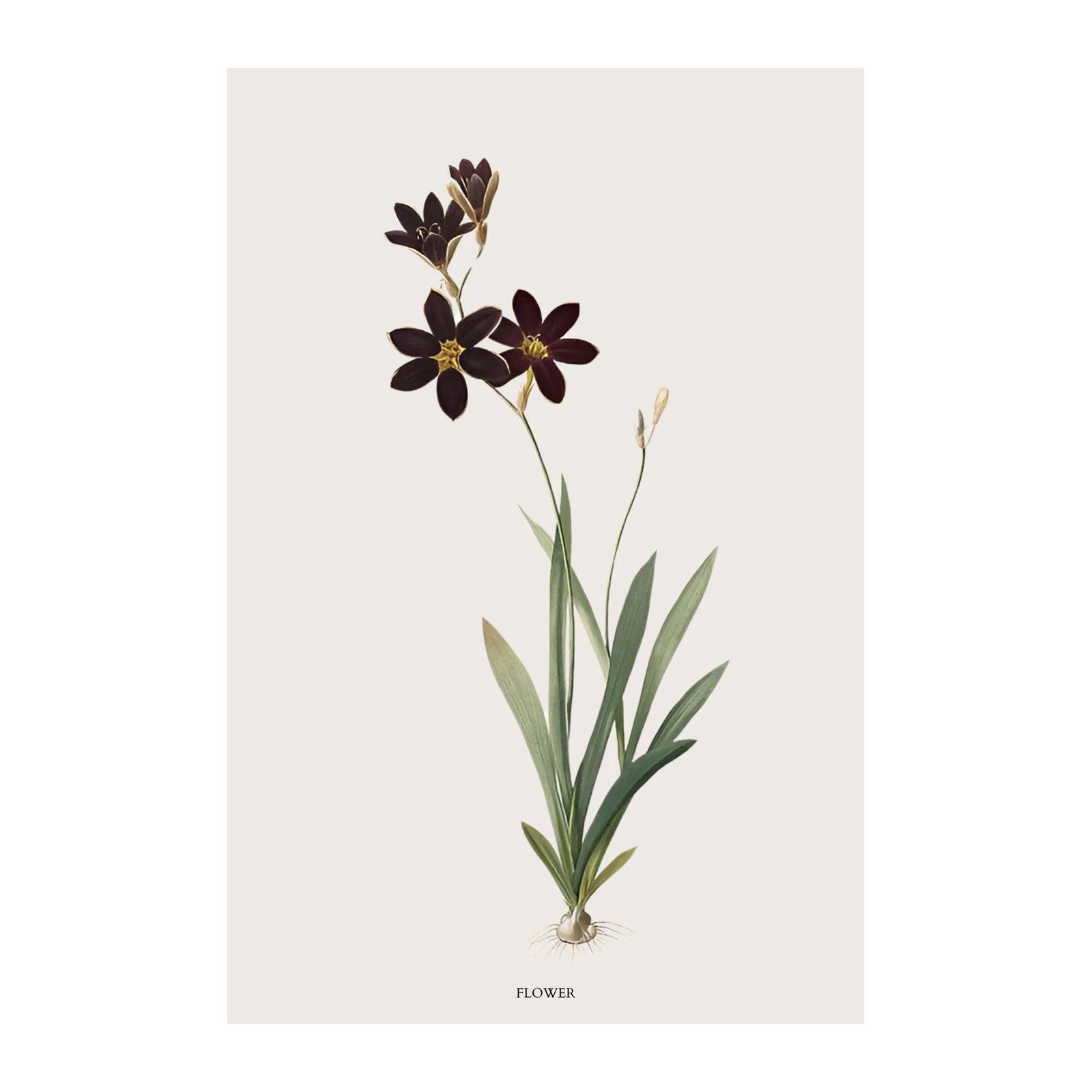 Elegant Dark Bloom Botanical Wall Art