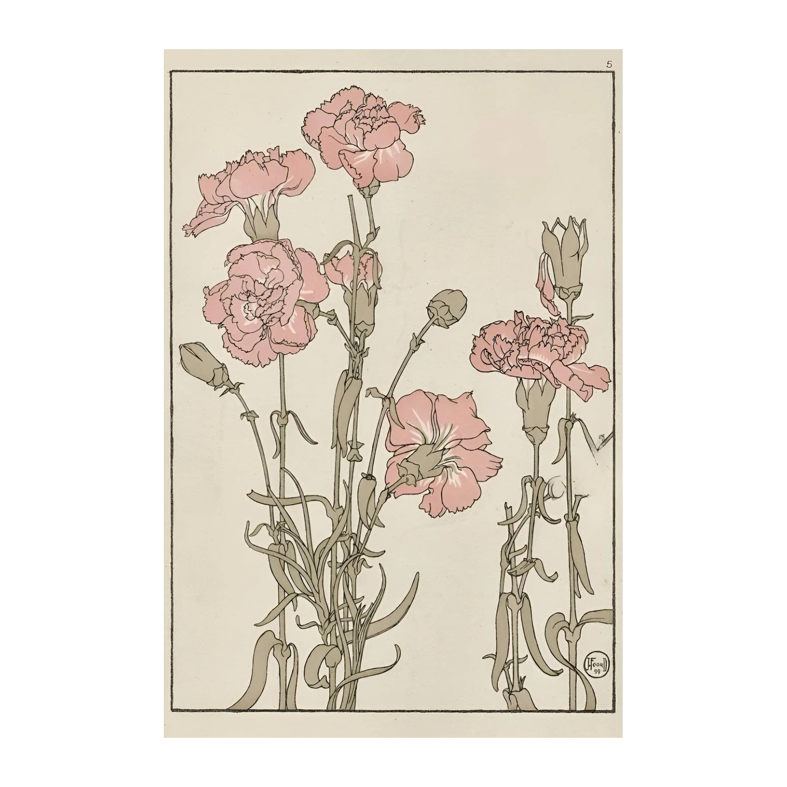 Elegant Pink Carnations Botanical Art Wall Art