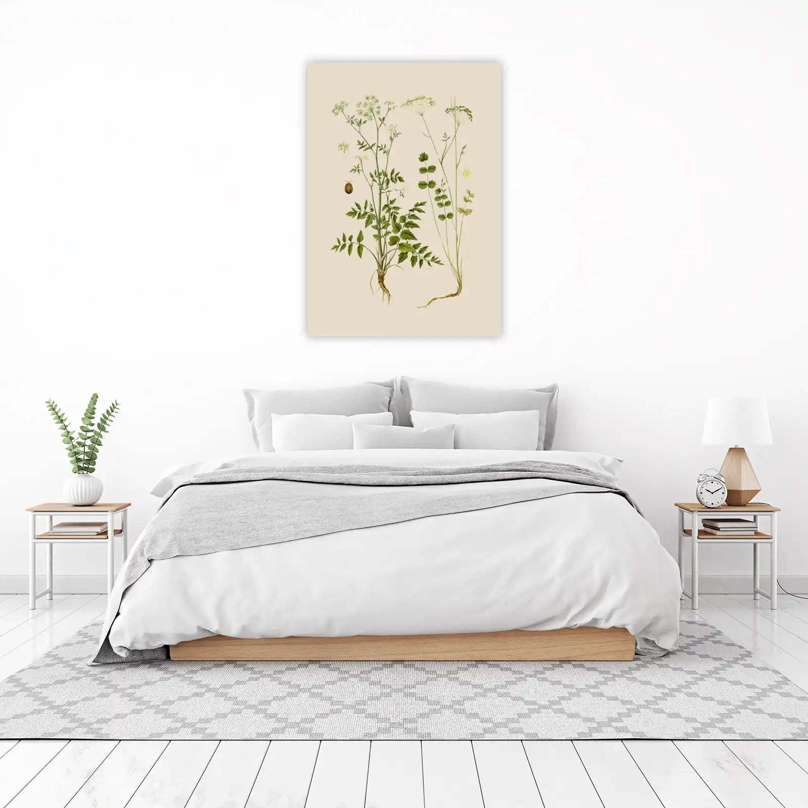 Vintage Botanical Parsley Print Wall Art