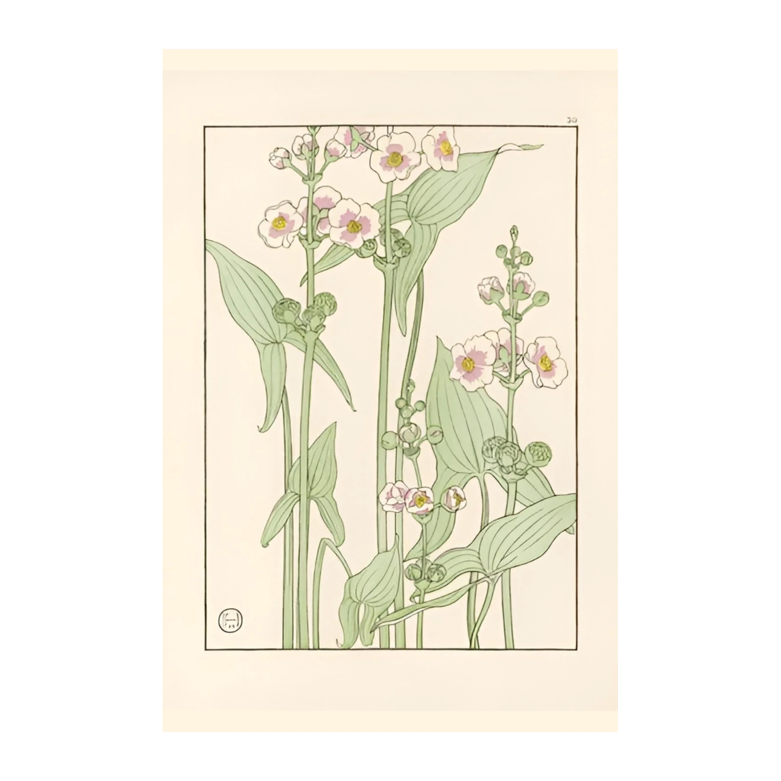 Elegant Floral Botanical Art Wall Art