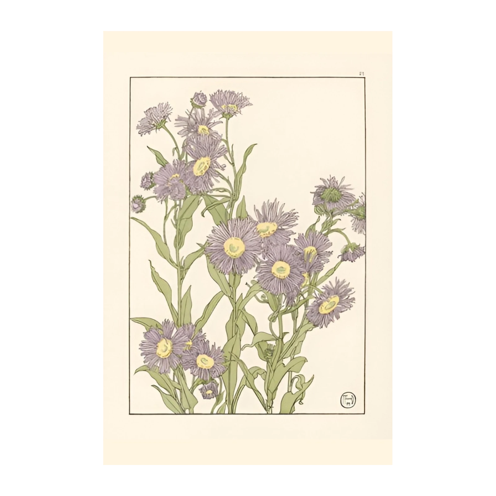 Purple Aster Floral Botanical Wall Art Wall Art