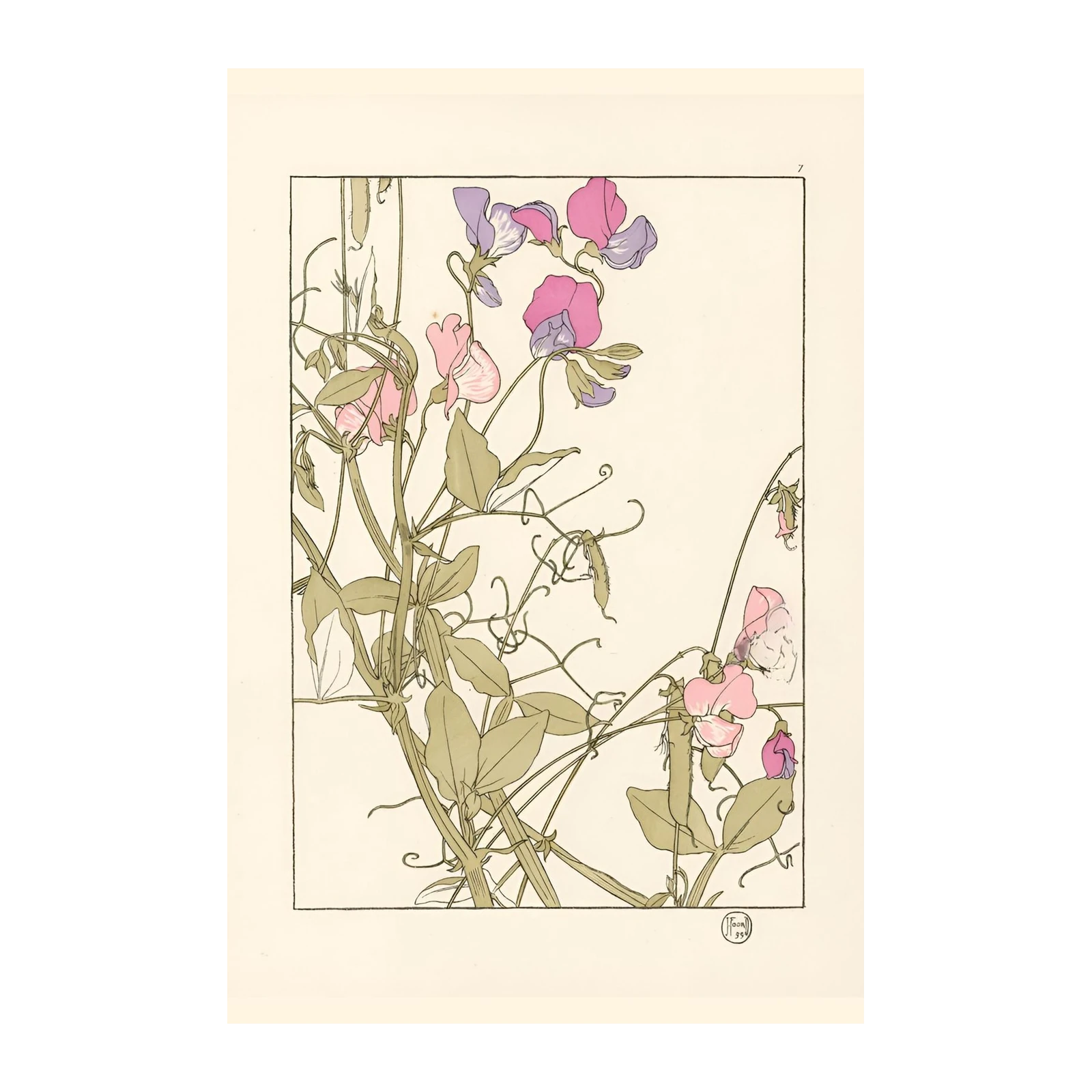 Art Nouveau Sweet Pea Botanical Wall Art