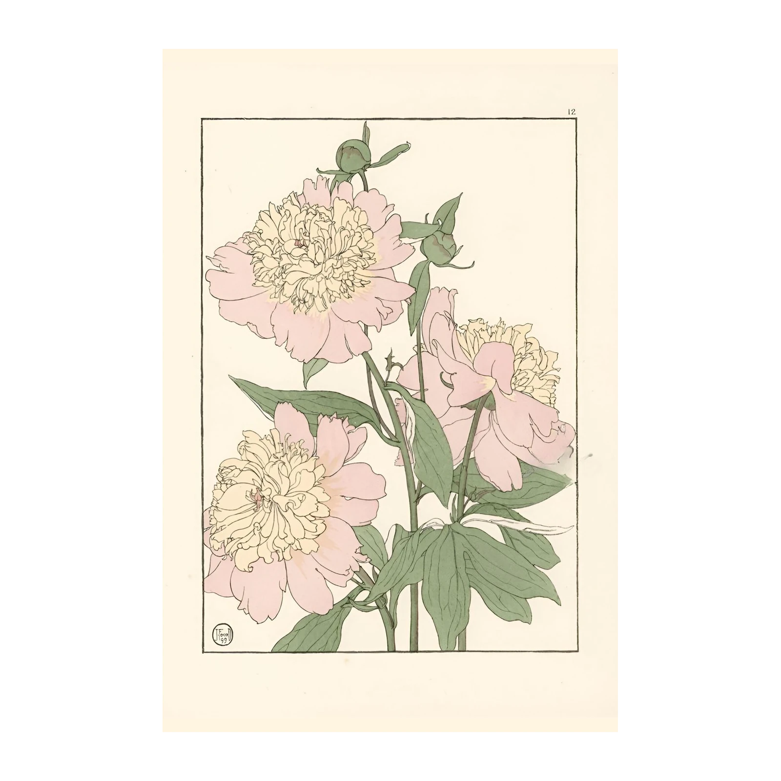 Elegant Pink Peonies Art Wall Art