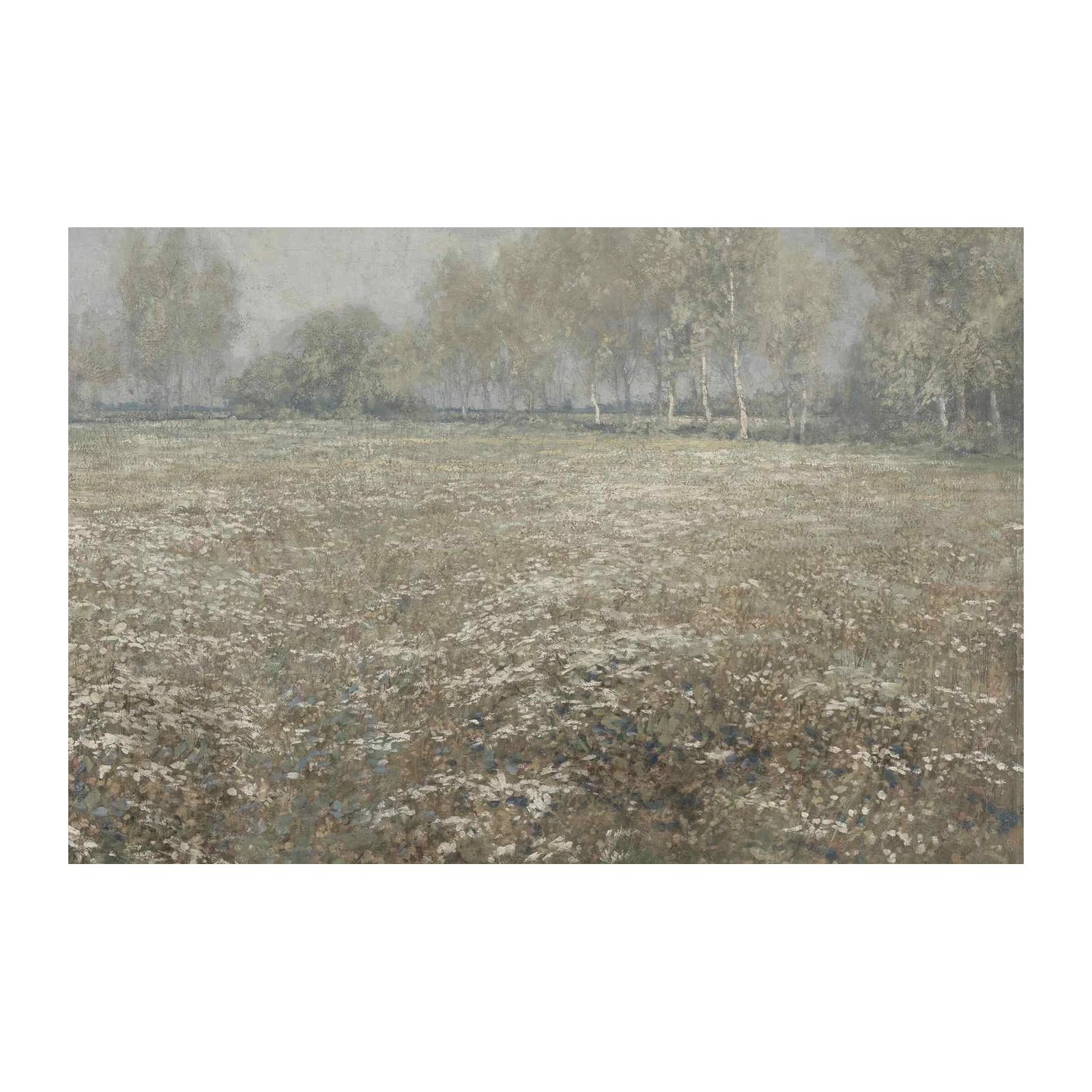 Misty Daisy Field Landscape Wall Art