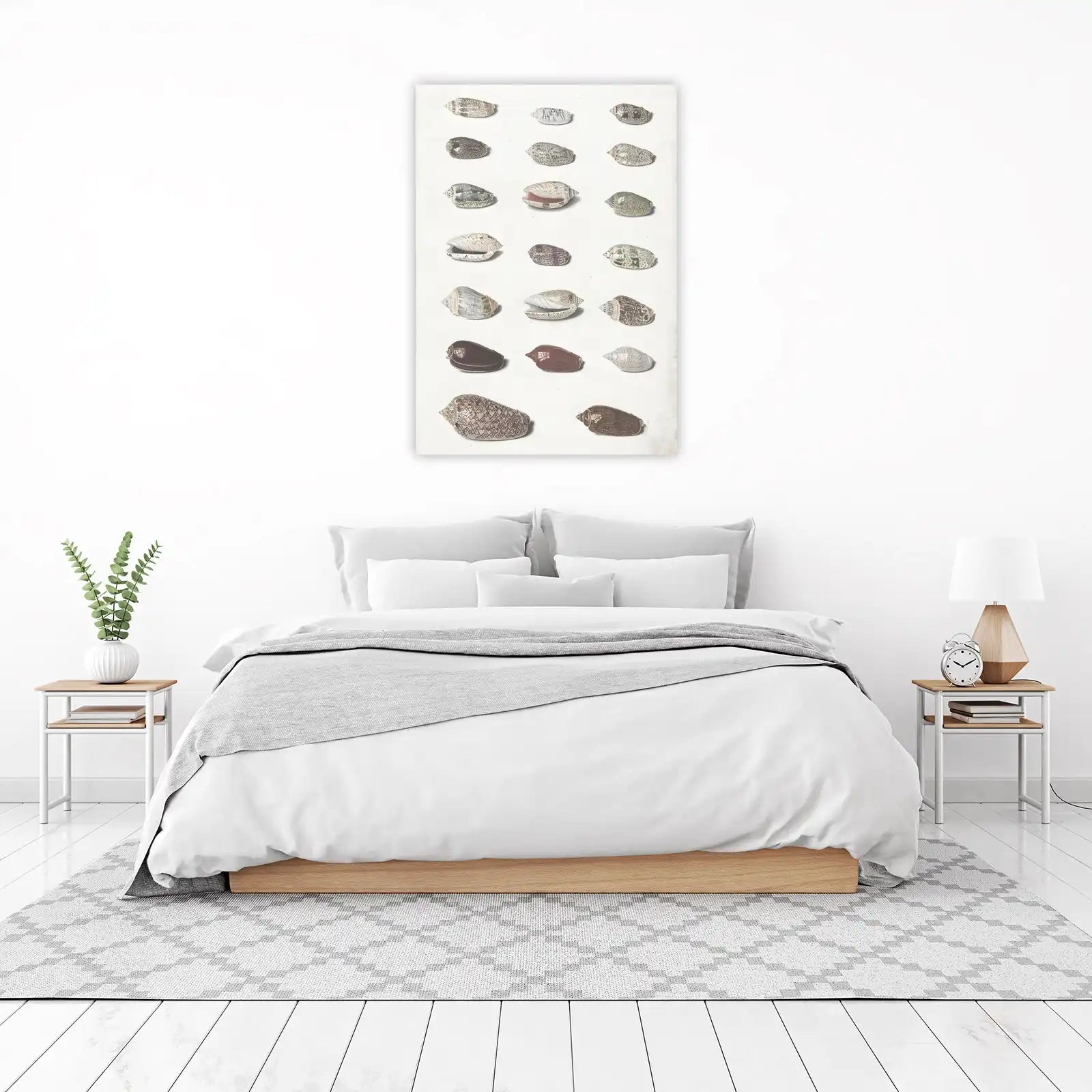 Vintage Shell Collection Botanical Art Wall Art
