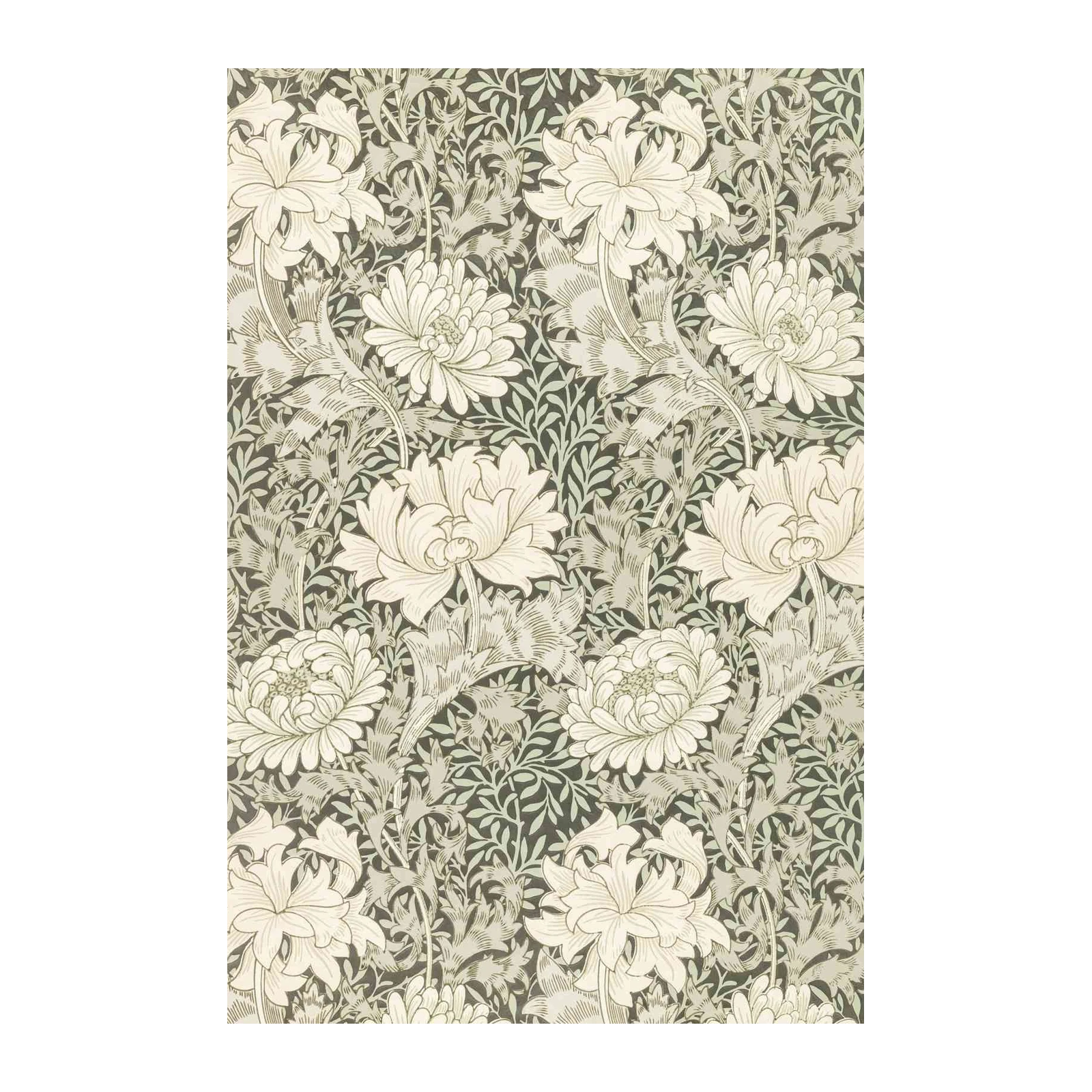 Vintage Floral Chrysanthemum Art Wall Art