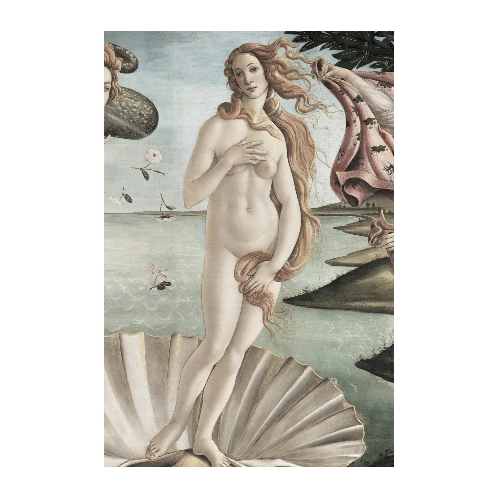 Botticelli's Venus Birth Masterpiece Wall Art