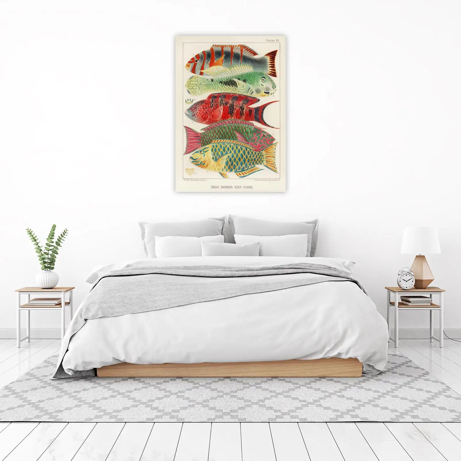 Vibrant Tropical Fish Wall Art