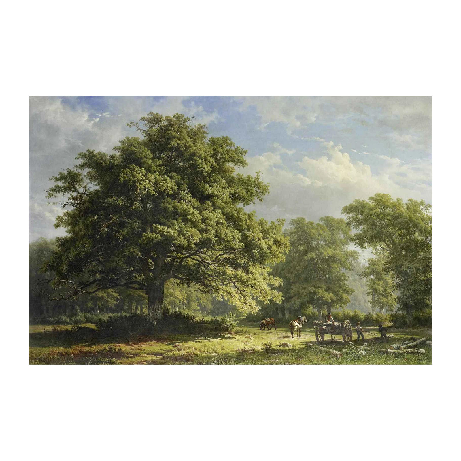 Majestic Oak Forest Scene Wall Art
