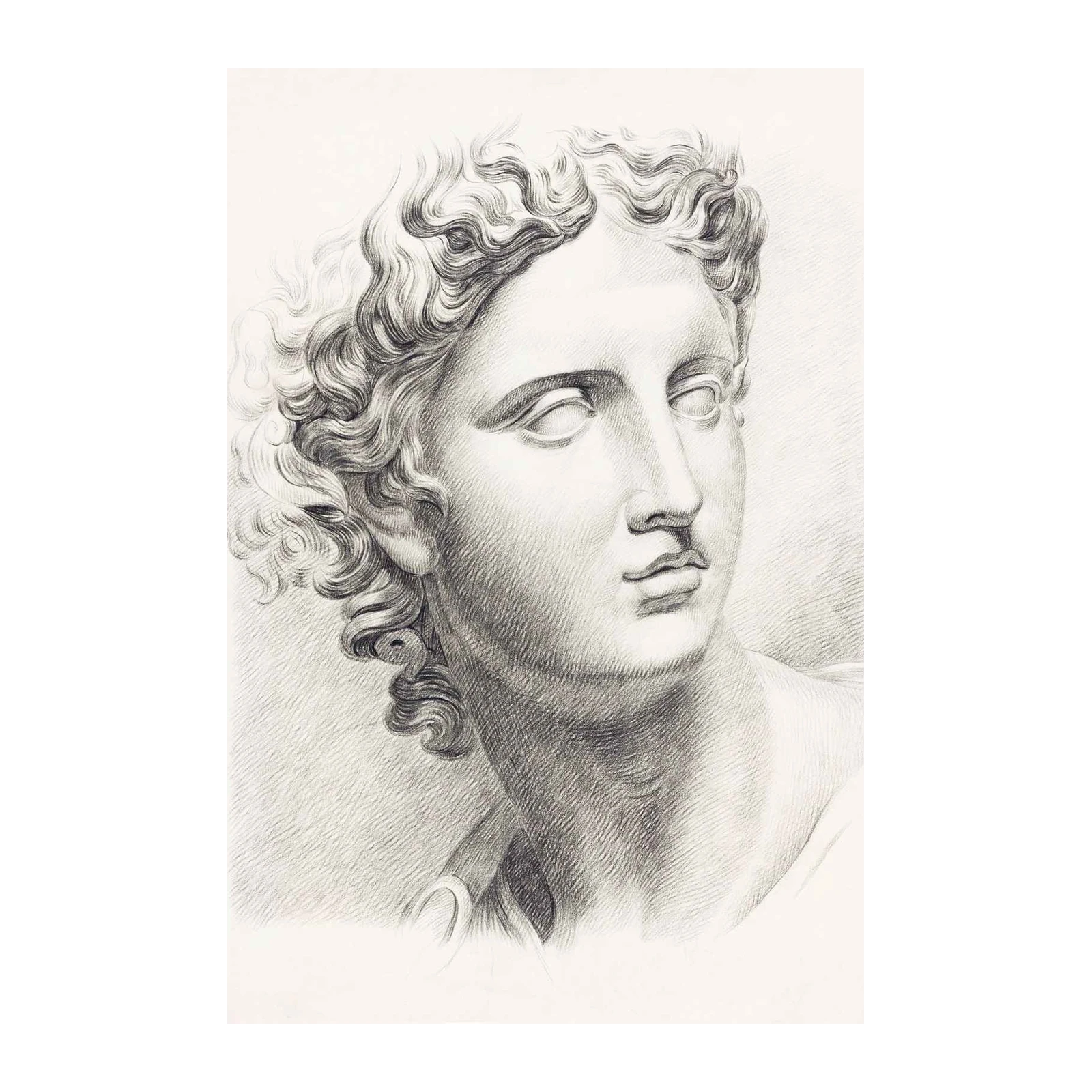 Classical Sculpture Portrait Pencil Sketch Wall Art