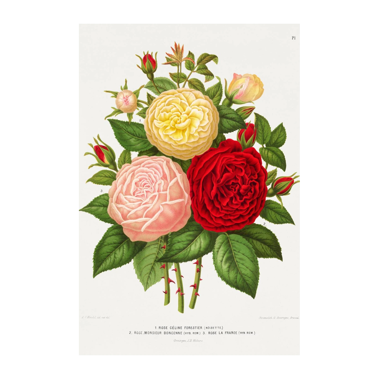 Vintage Rose Bouquet Wall Art
