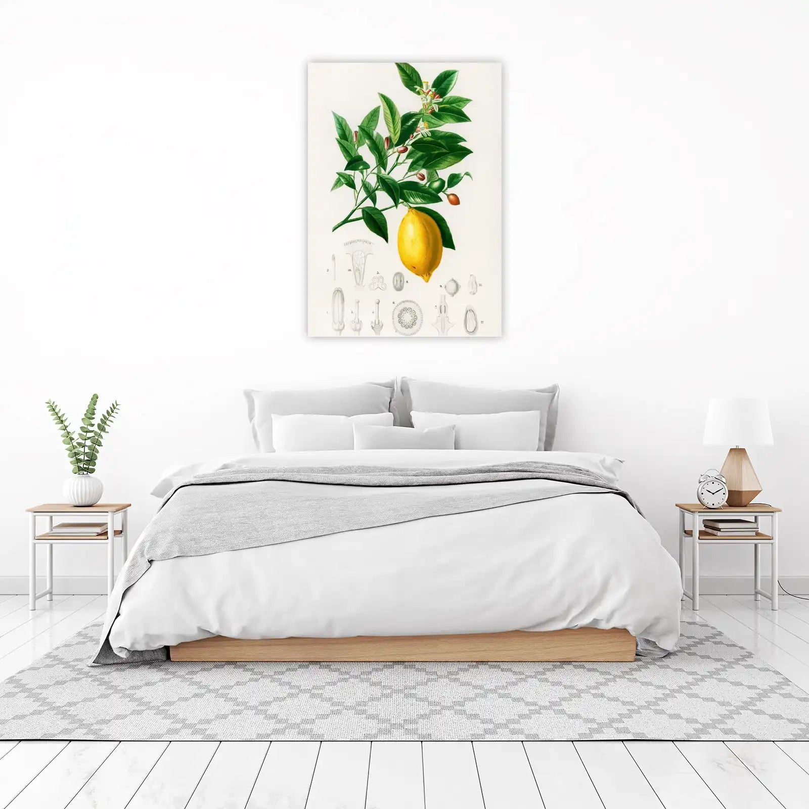 Vintage Lemon Botanical Illustration Wall Art