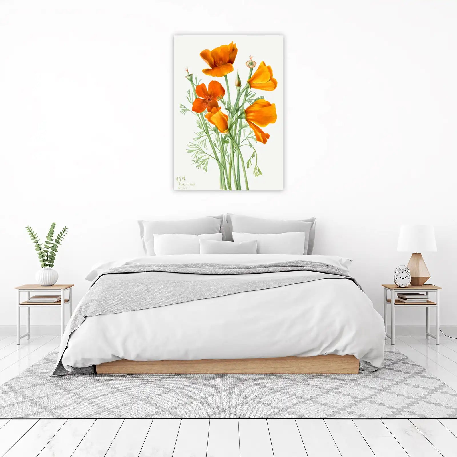 Vibrant California Poppies Botanical Art Wall Art