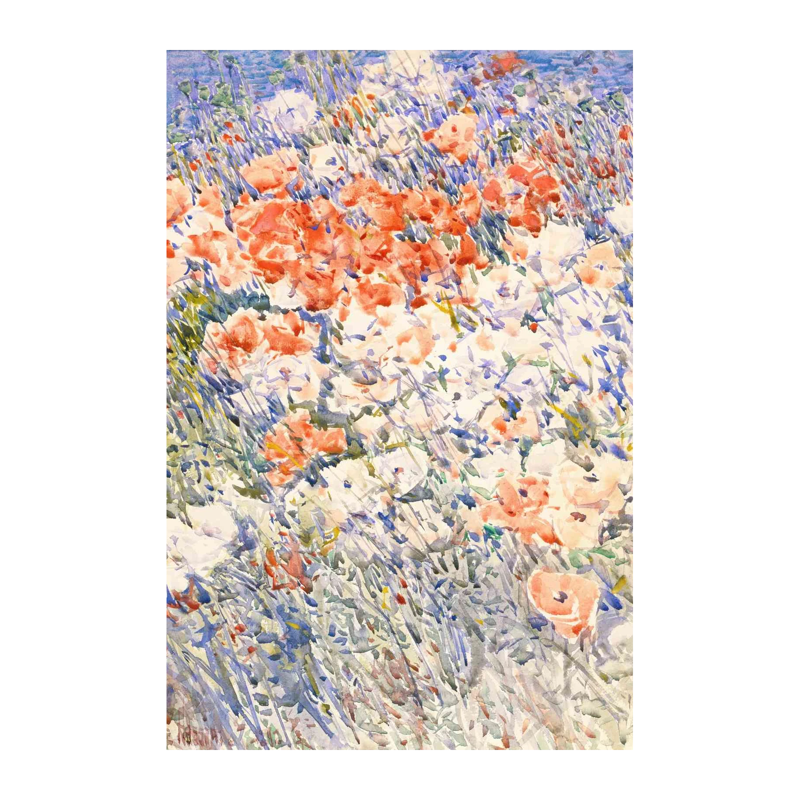 Vibrant Poppy Field Watercolor Wall Art