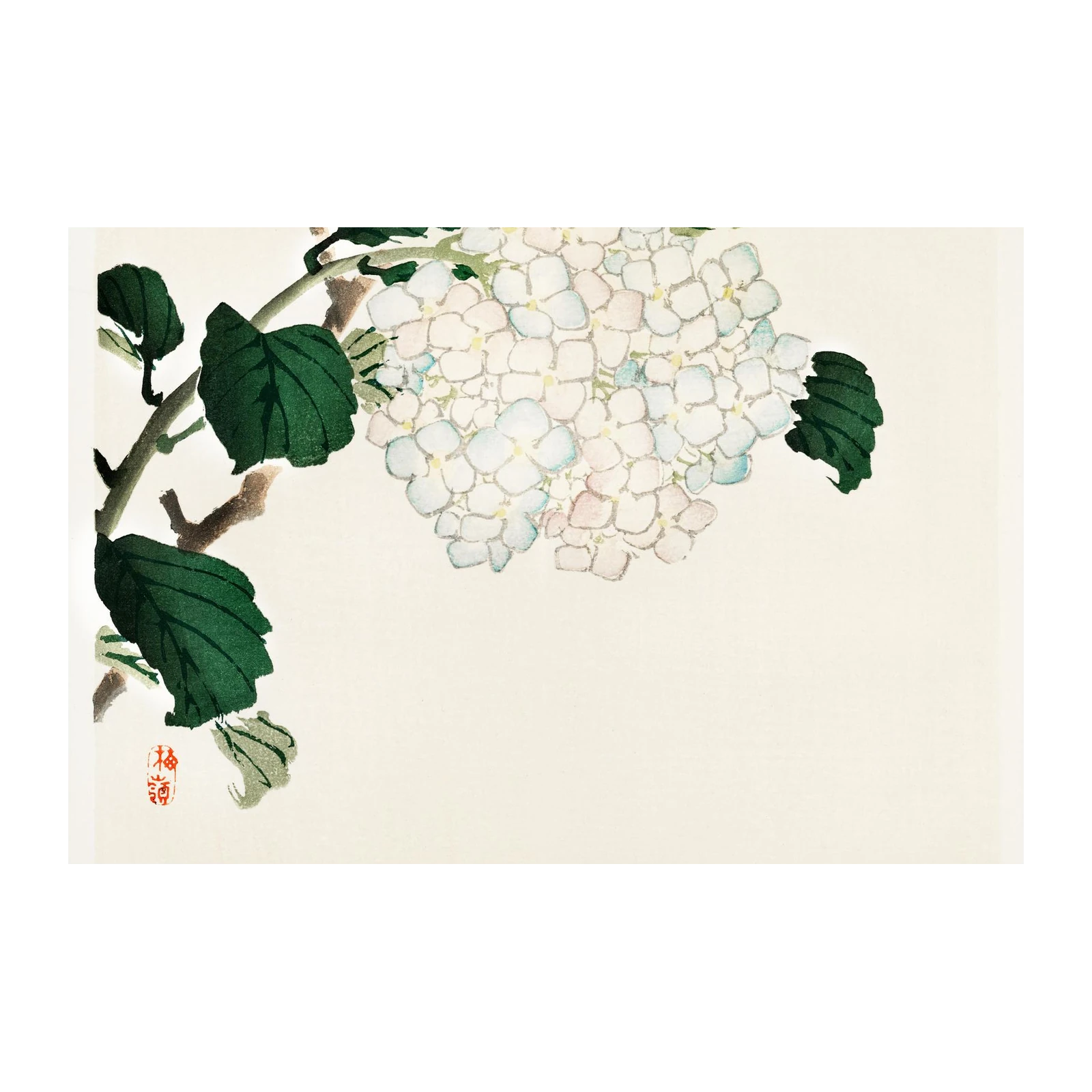 Delicate Hydrangea Blossom Wall Art
