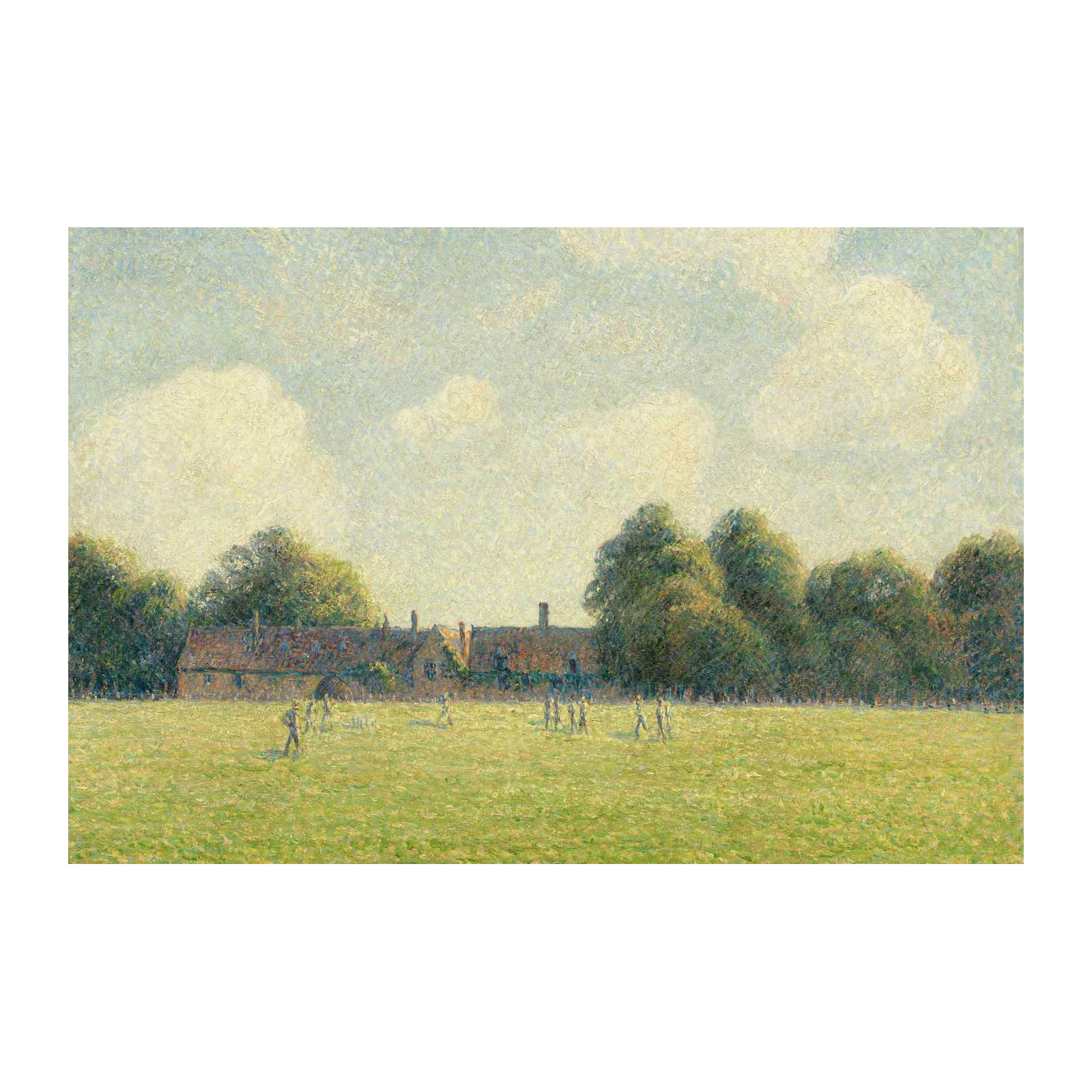 Summer Meadow Cricket Game Wall Art