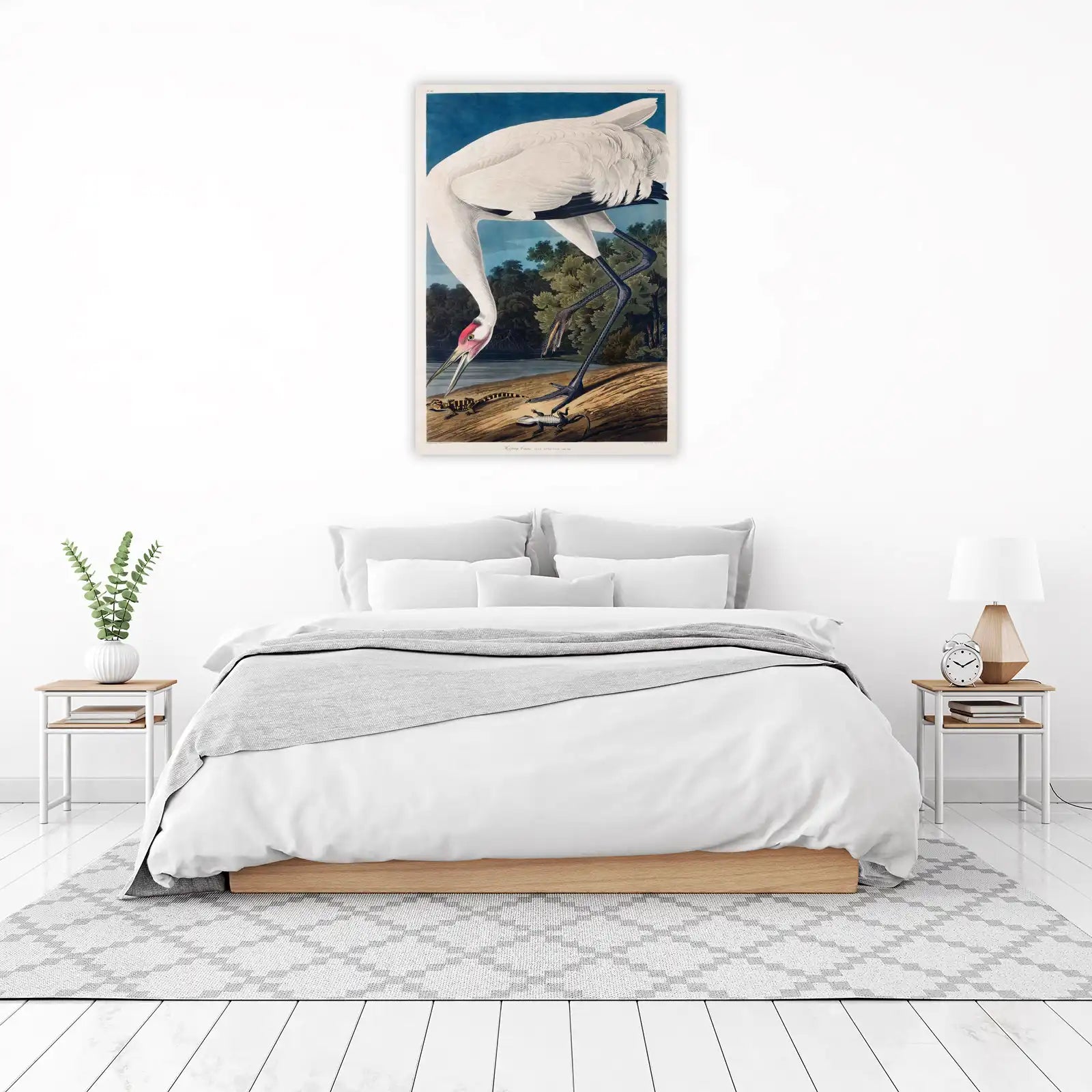 Audubon's Whooping Crane Wall Art - Nature Art