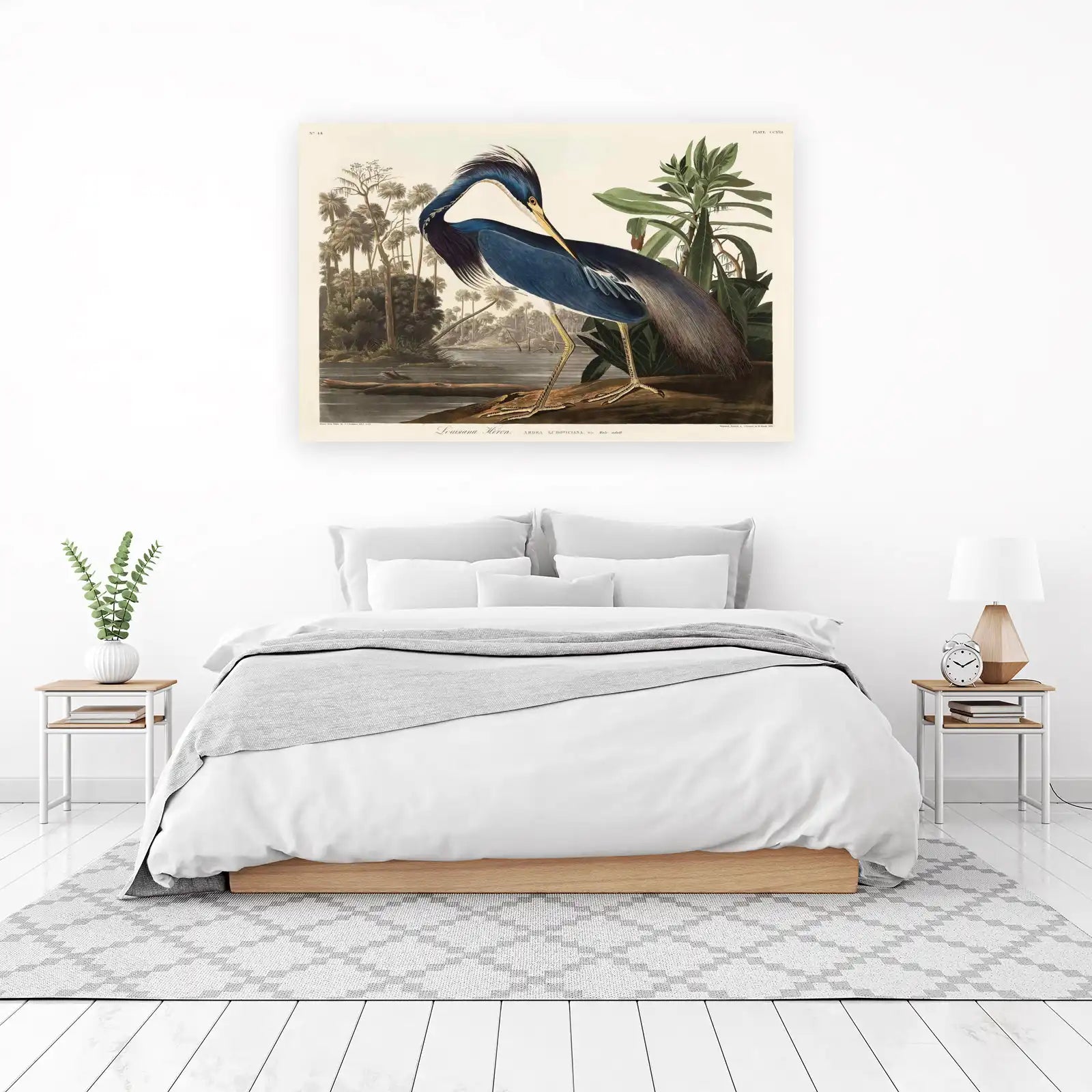 Elegant Louisiana Heron Bird Art Wall Art
