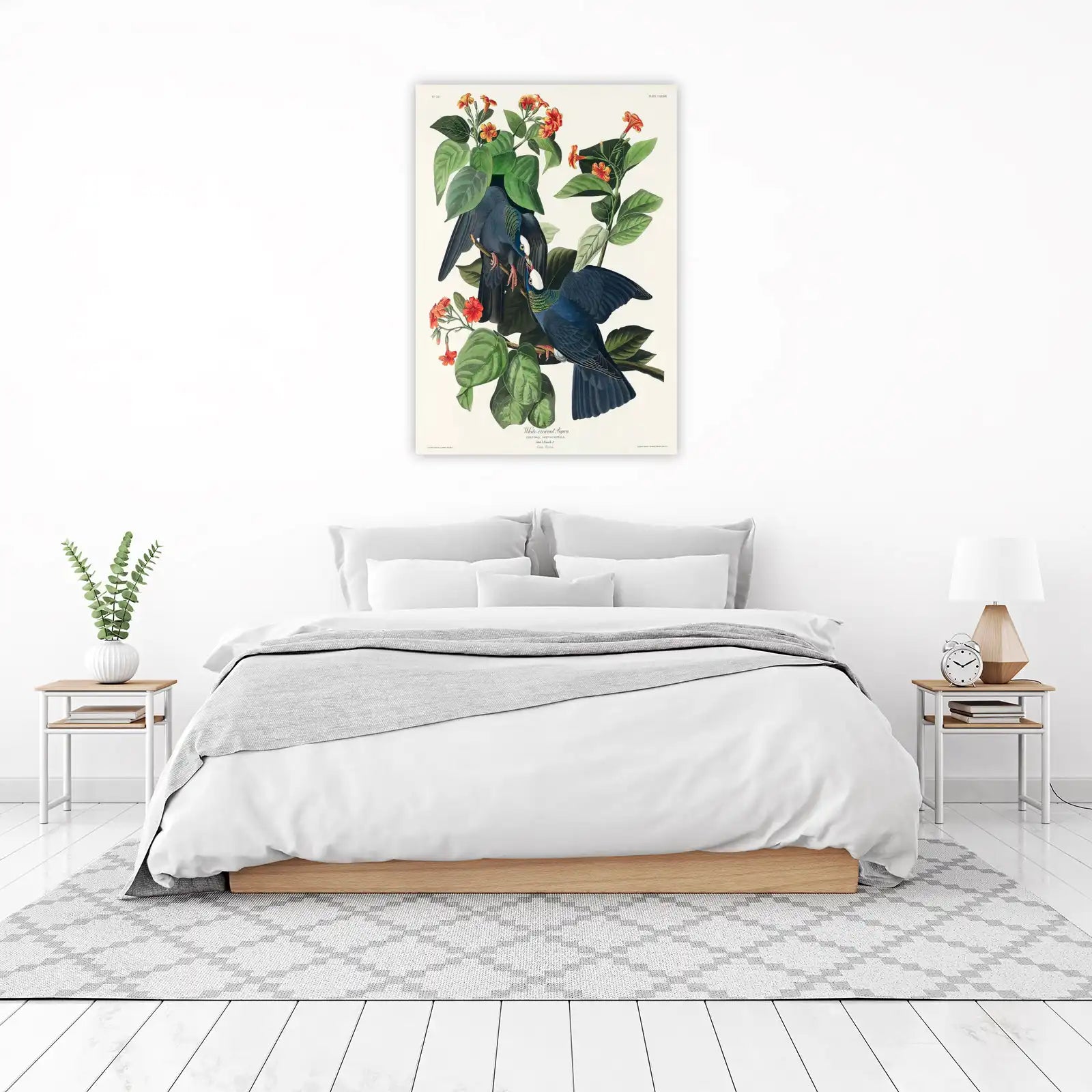 White-Crowned Pigeon Botanical Art Wall Art