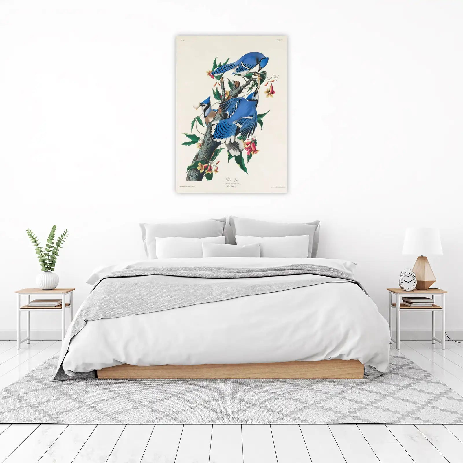 Vibrant Blue Jay Nature Art Wall Art