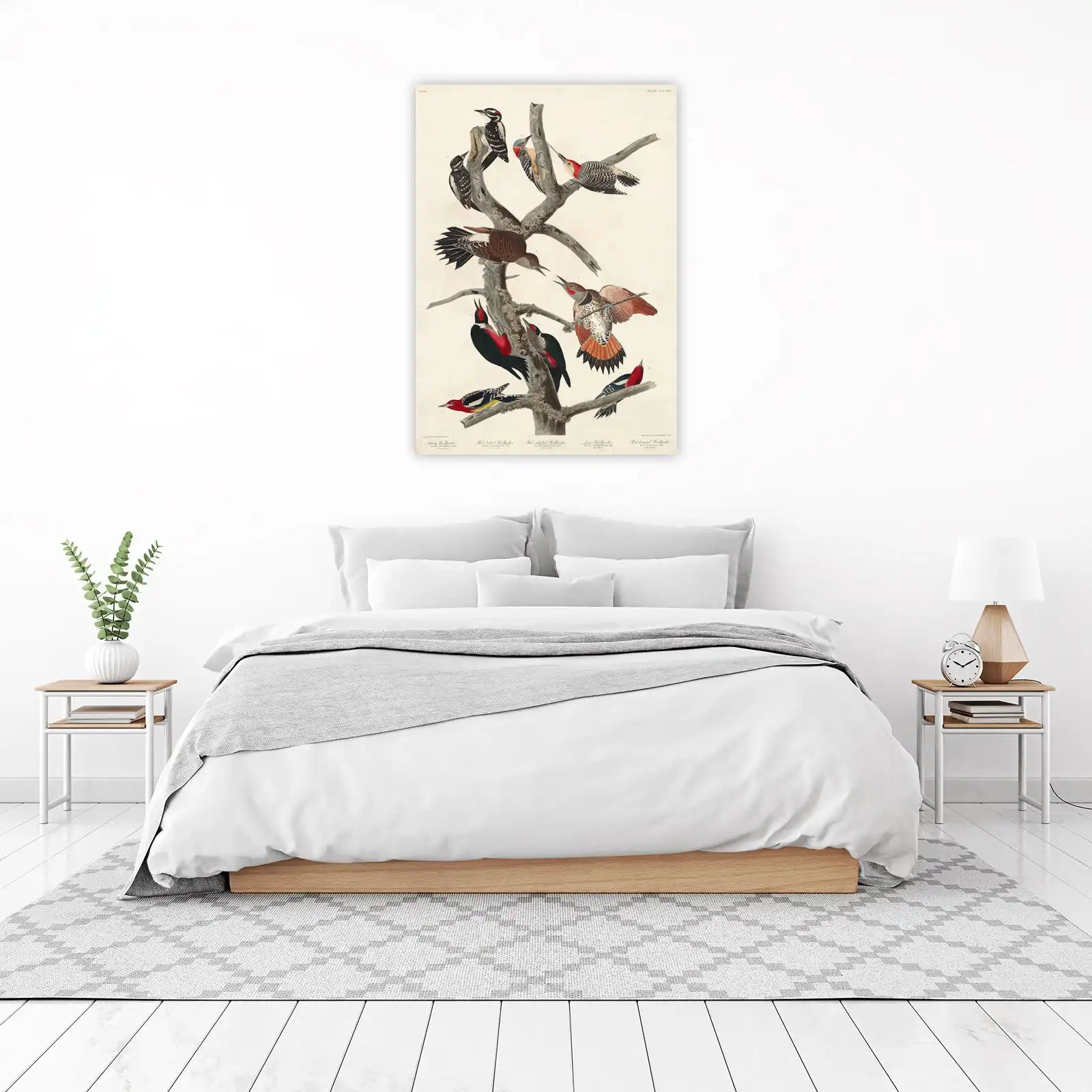 Vintage Woodpecker Study Wall Art