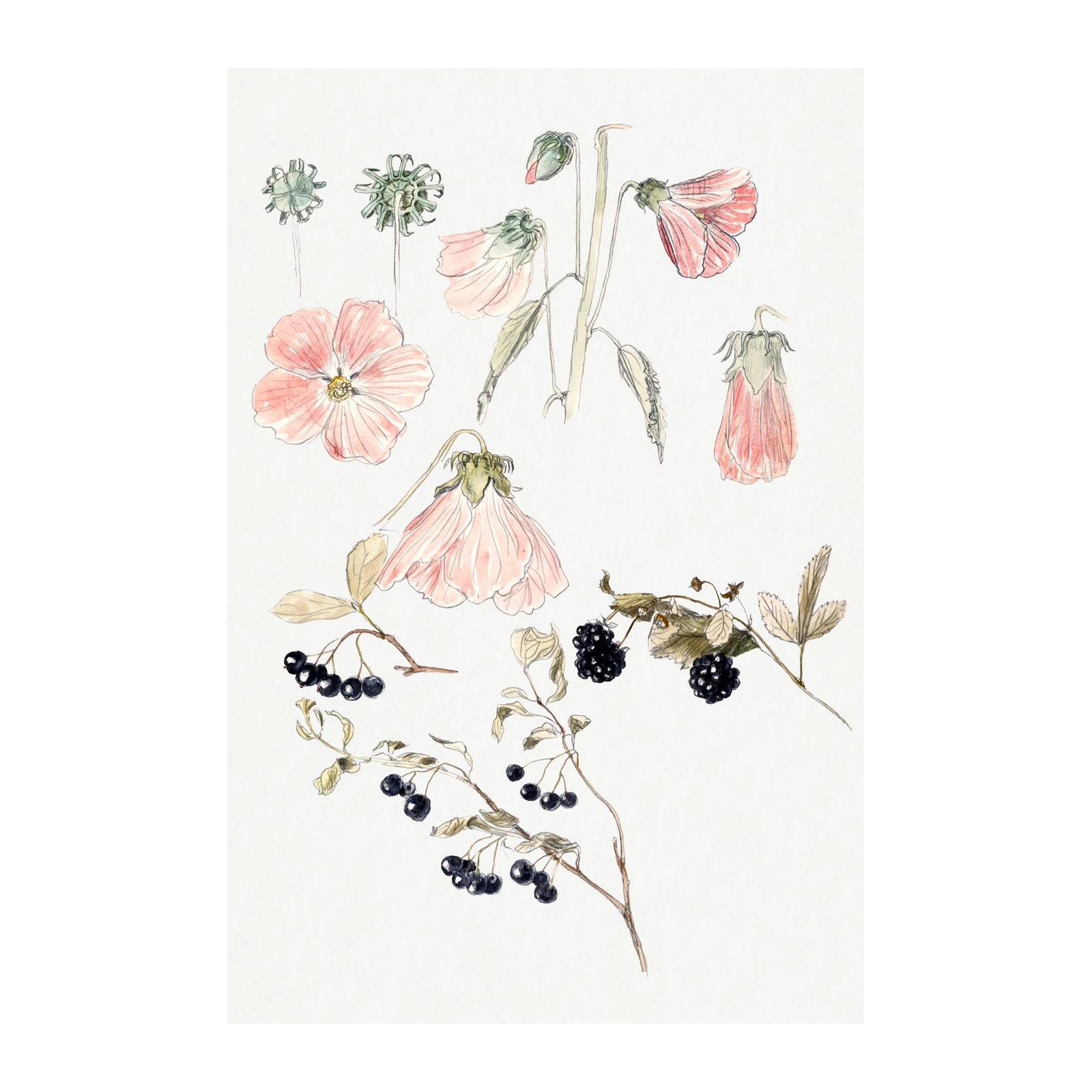 Vintage Botanical Berries & Blooms Wall Art