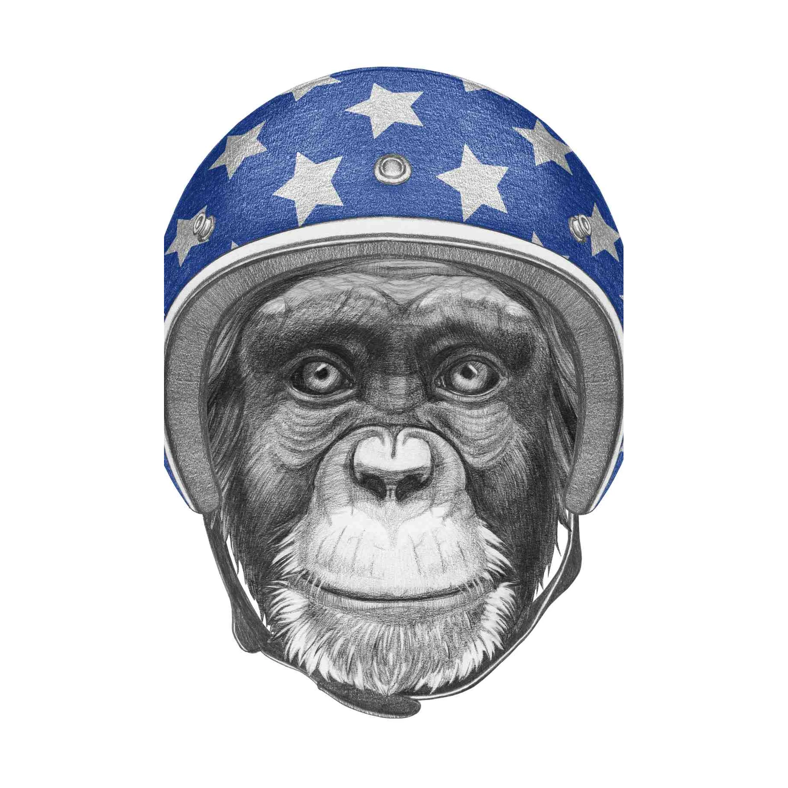 Chimpanzee Star Helmet Pencil Sketch Wall Art