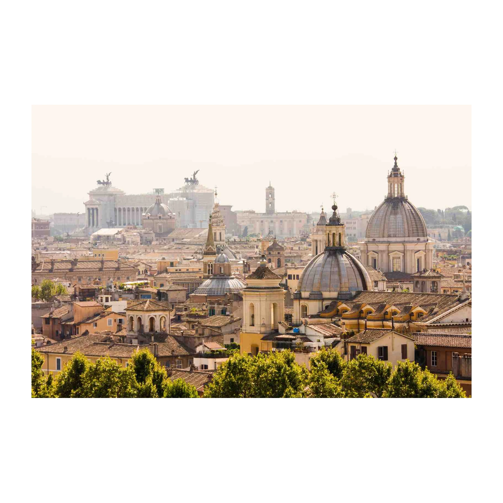 Rome Skyline Domes Wall Art