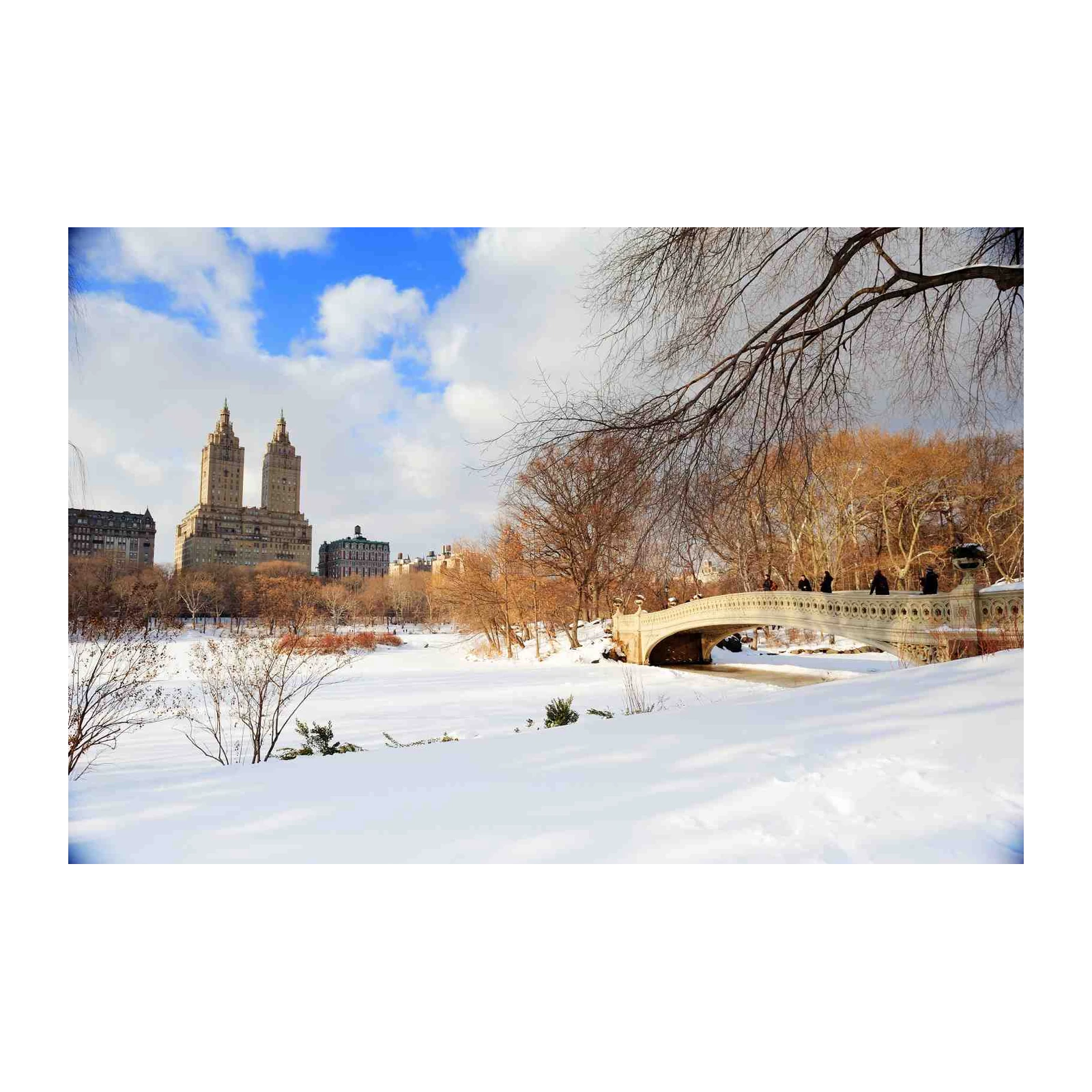 Central Park Winter Bridge Wall Art