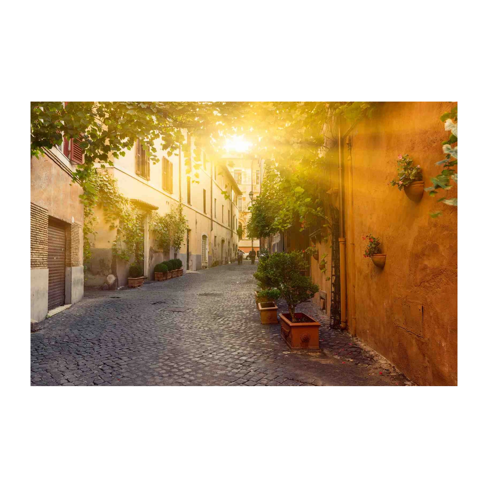 Sunny Italian Alleyway European Charm Wall Art