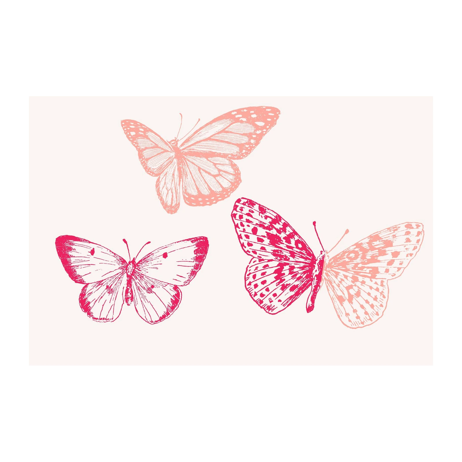 Vibrant Butterfly Trio Wall Art