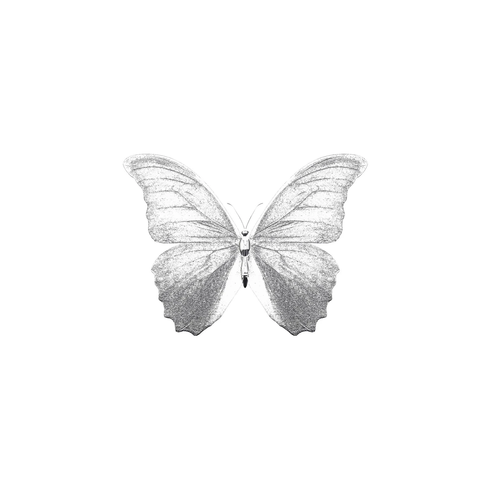 Elegant Butterfly Sketch Wall Art