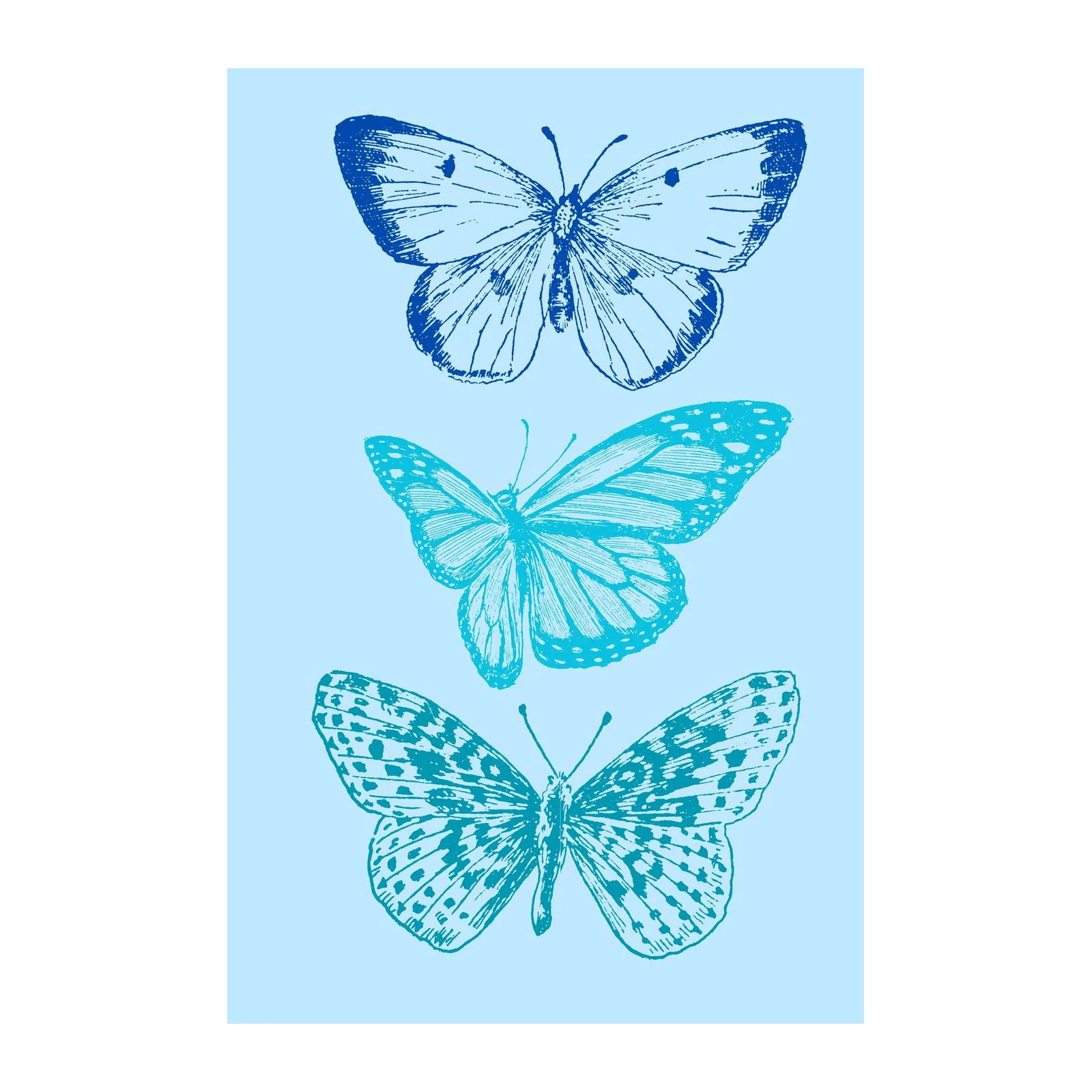 Blue Butterfly Trio Vintage Sketch Wall Art
