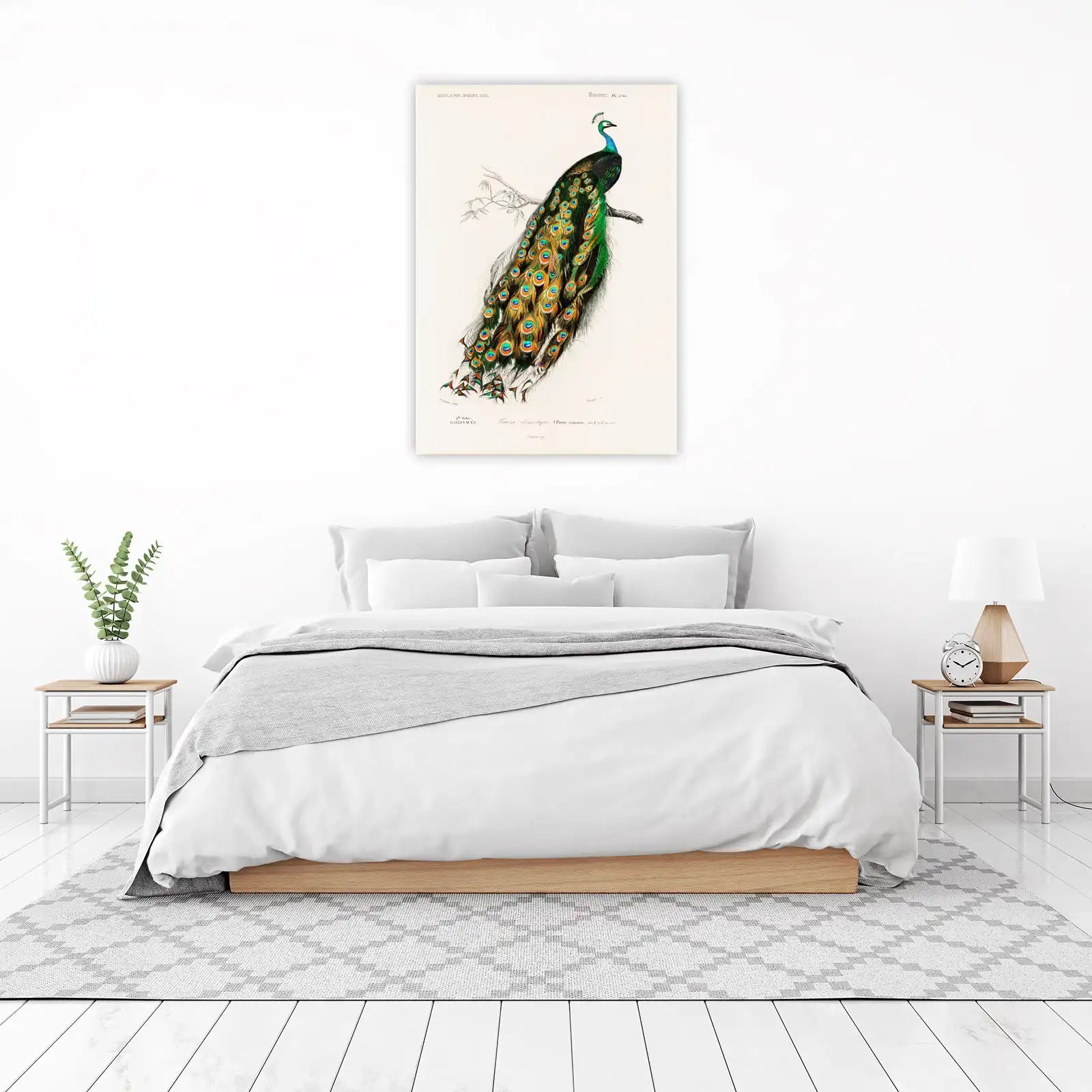 Vibrant Peacock Vintage Art Wall Art