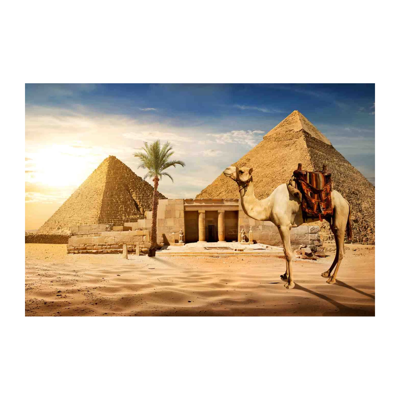 Majestic Egypt Camel & Pyramids Wall Art