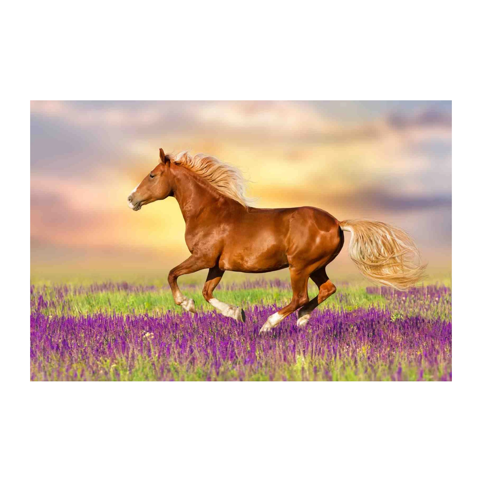 Majestic Chestnut Horse Running Wall Art