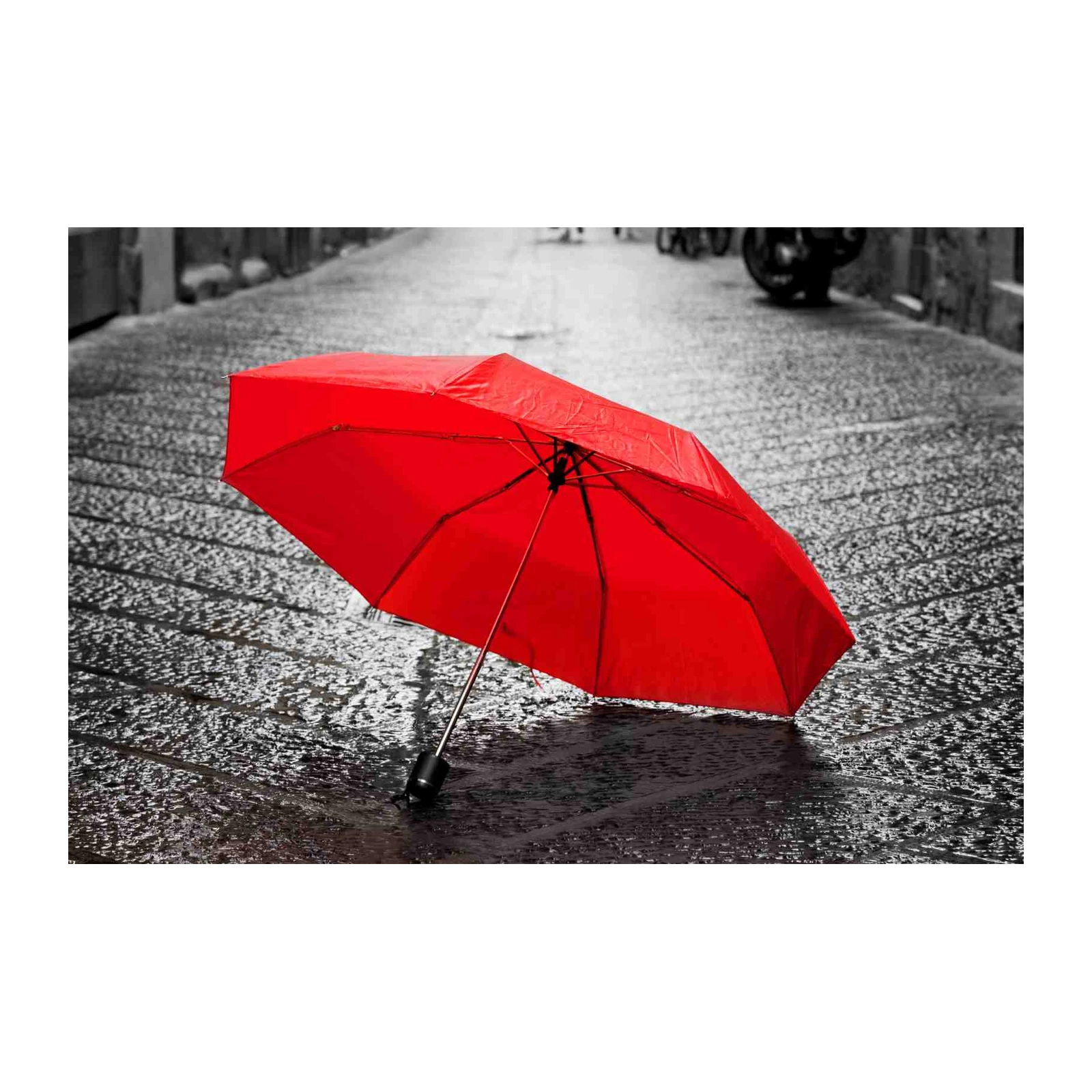 Vibrant Red Umbrella on Wet Cobblestone Wall Art