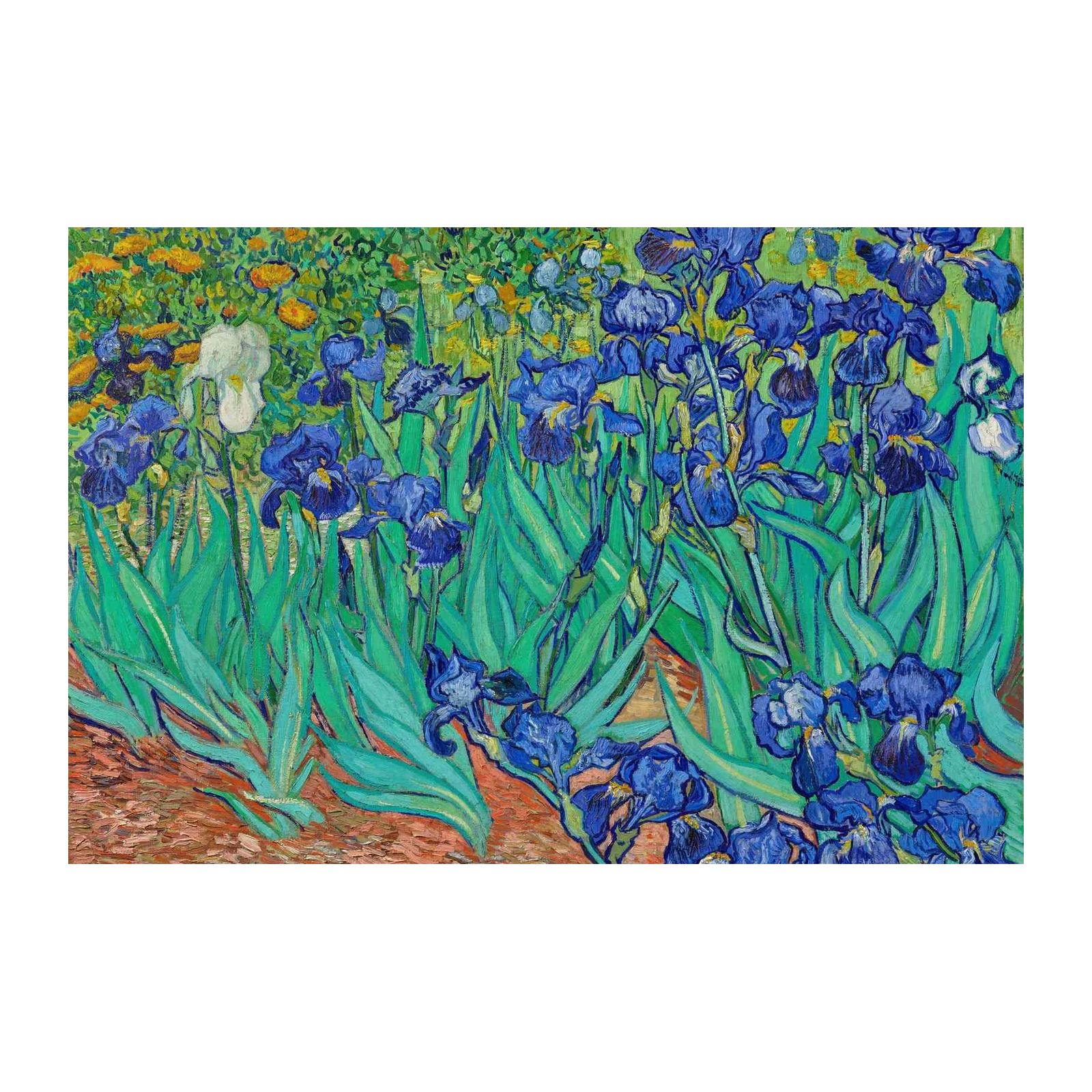 Van Gogh Irises Garden Wall Art