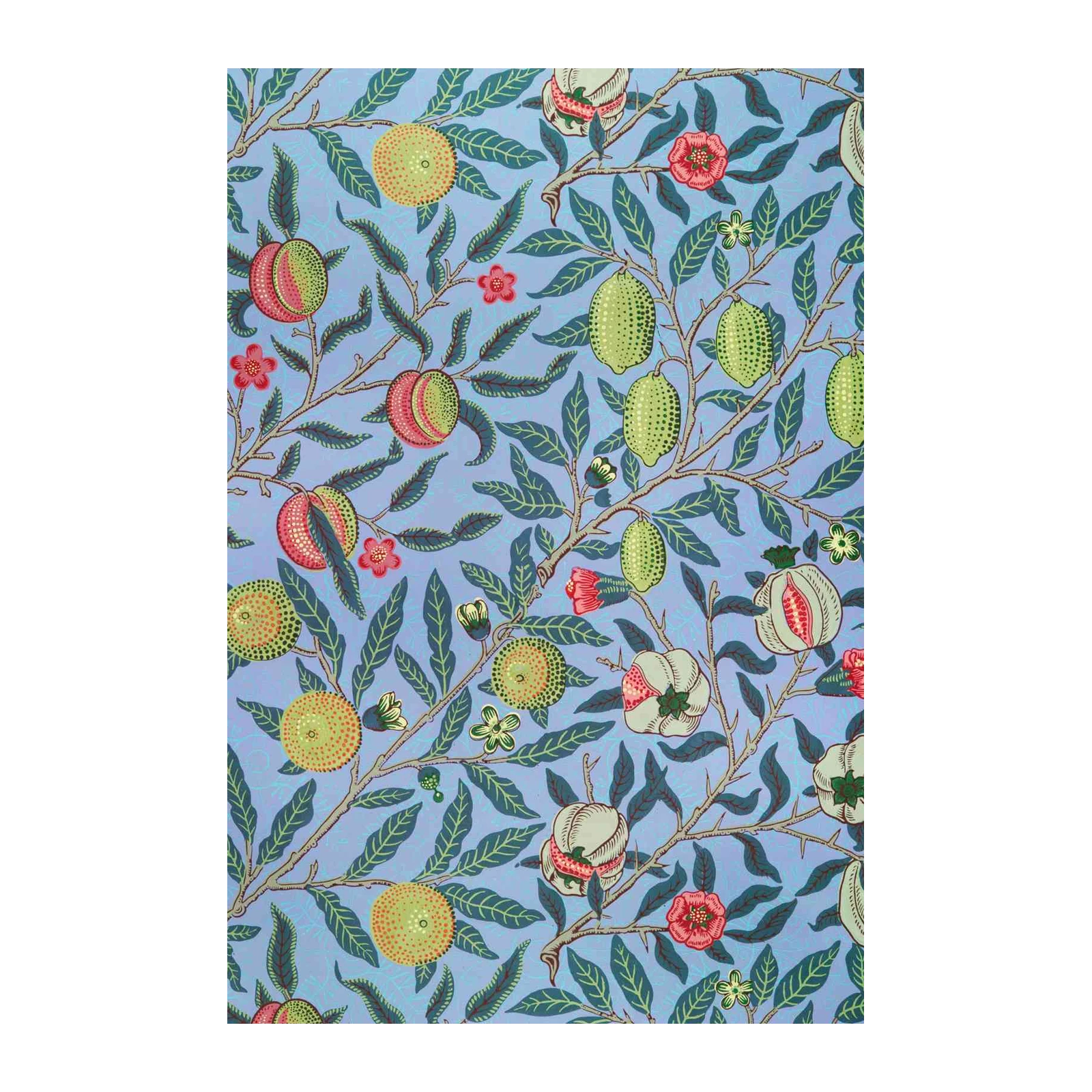 Vintage Fruit & Floral Art Wall Art