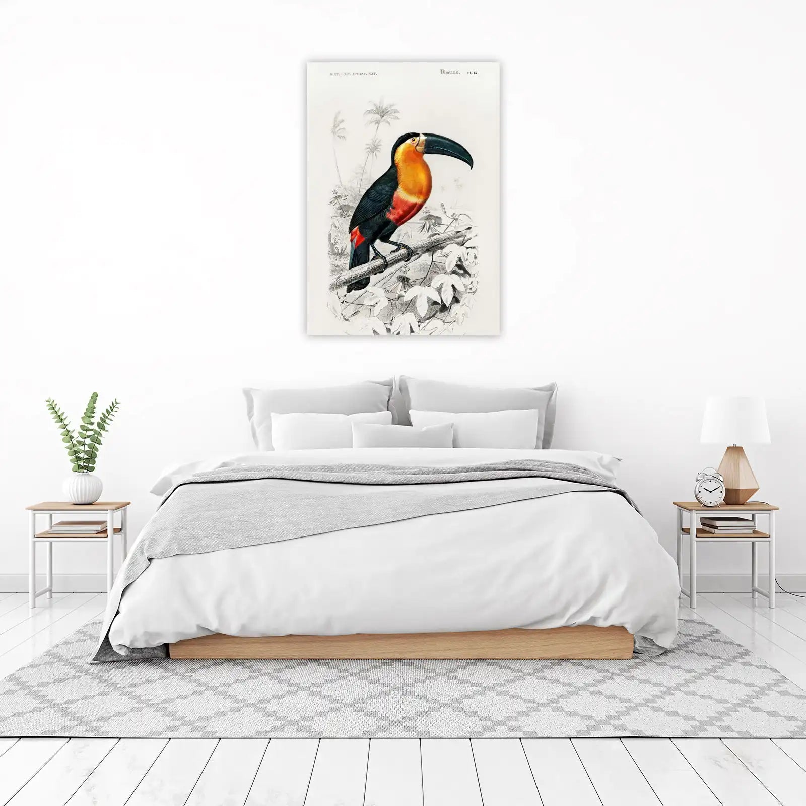 Vibrant Toucan Tropical Bird Art Wall Art