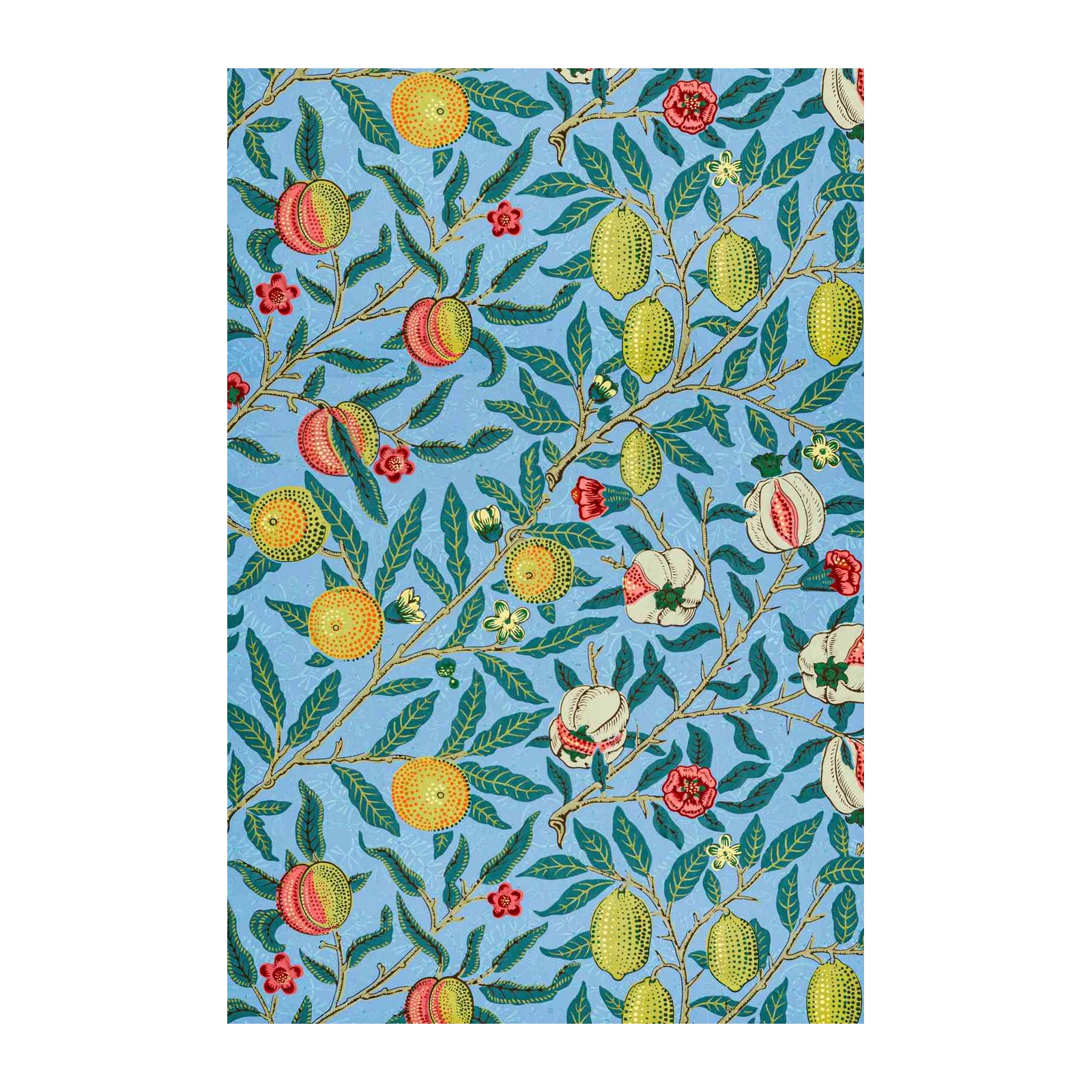 Botanical Fruit Pattern Wall Art