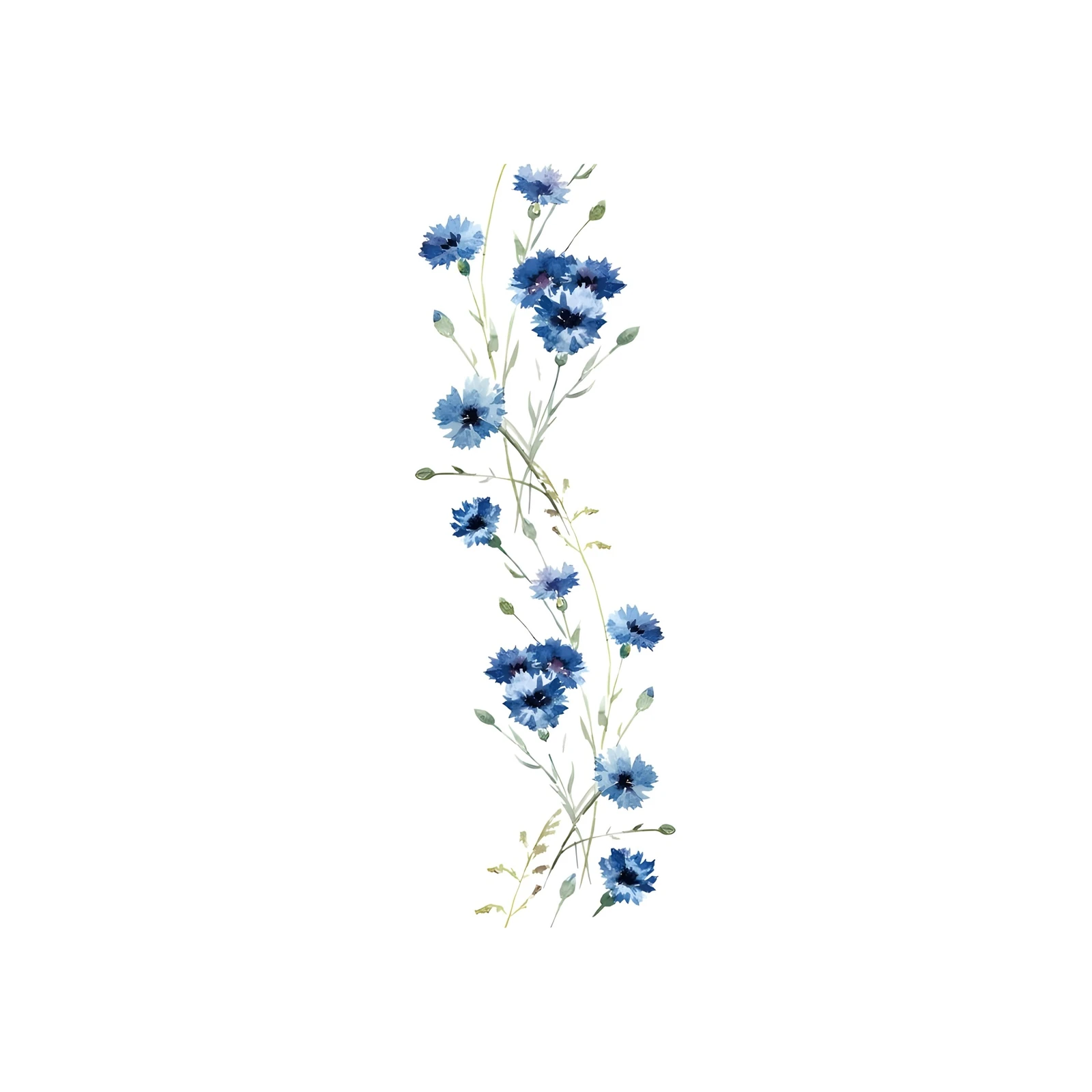 Elegant Blue Cornflower Botanical Watercolor Wall Art