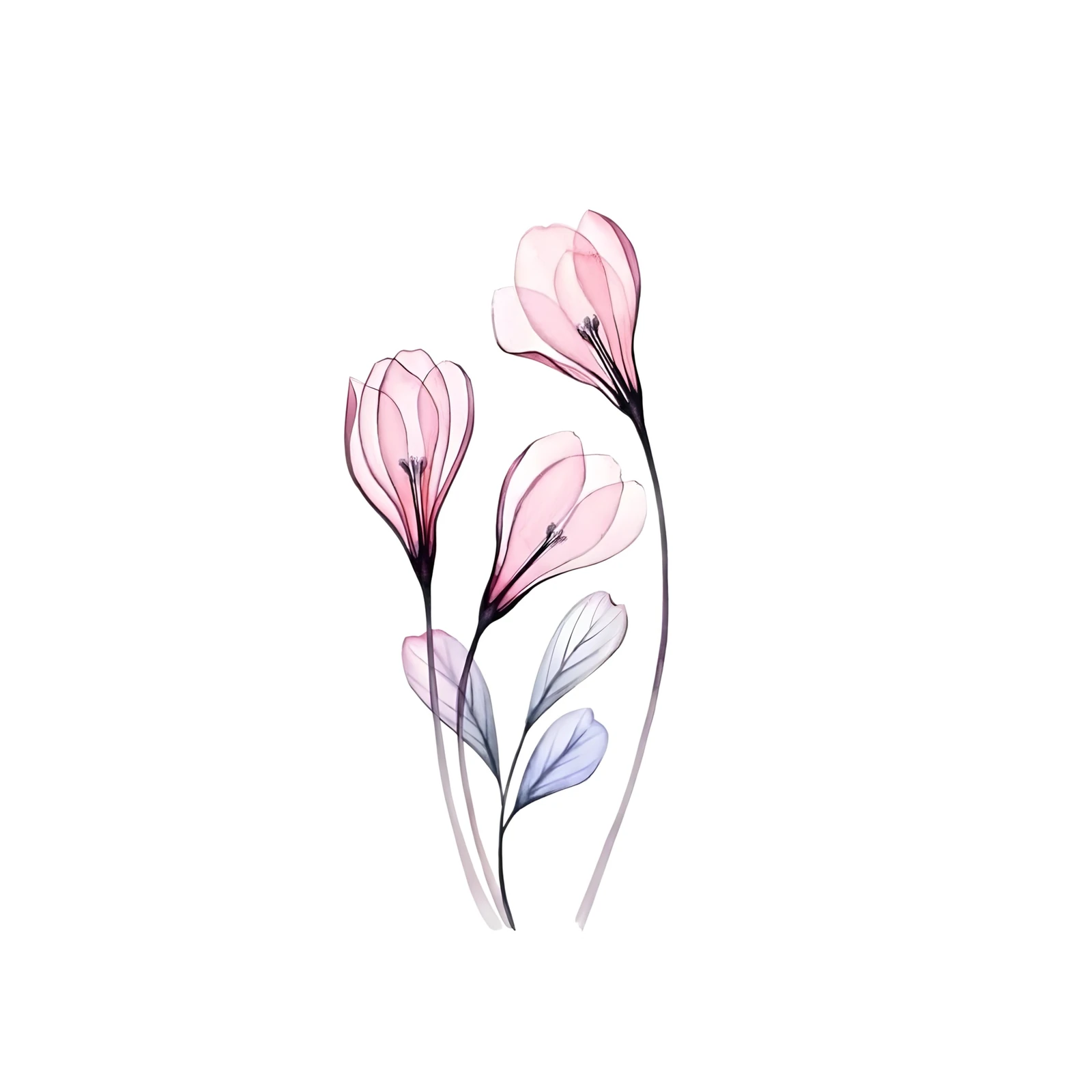 Elegant Pink Floral X-Ray Wall Art