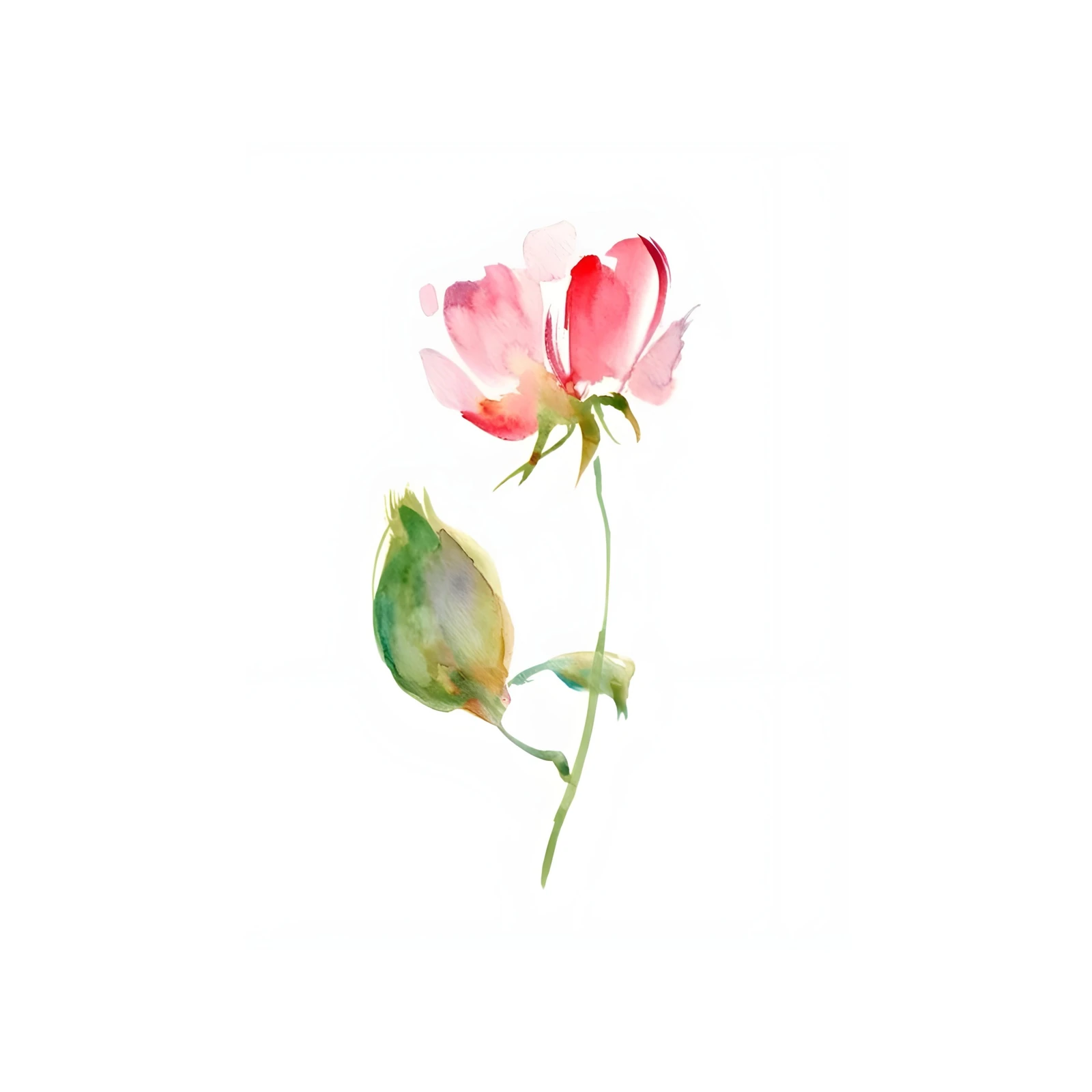 Watercolor Rose & Bud Wall Art
