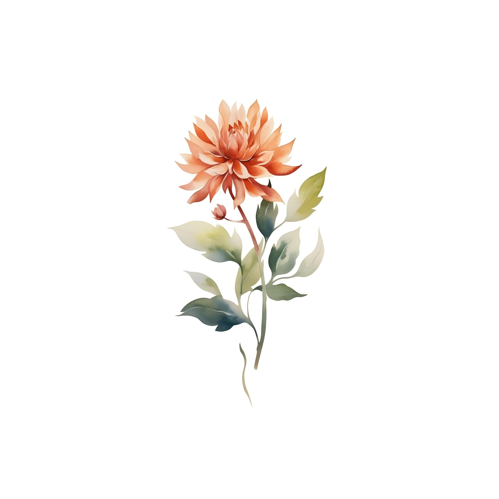 Watercolor Dahlia Bloom Wall Art - Floral Wall Art