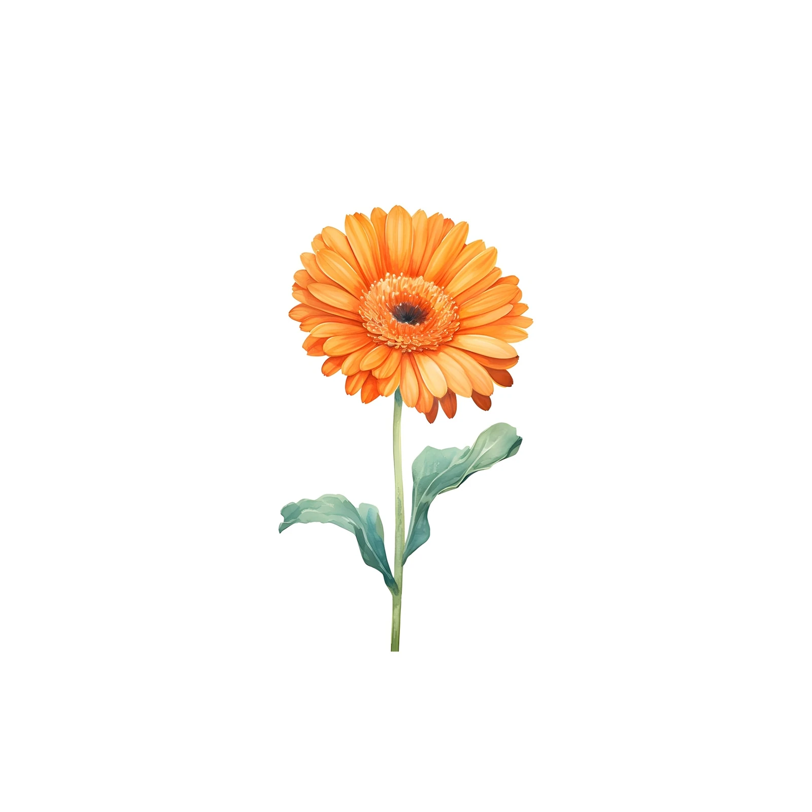 Vibrant Orange Gerbera Daisy Floral Wall Art