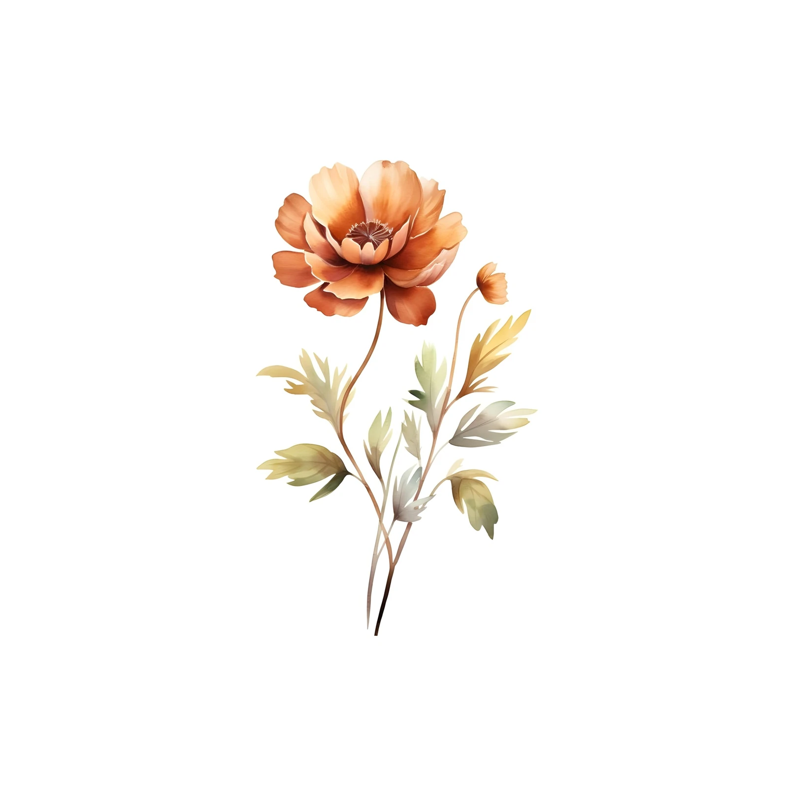 Elegant Orange Poppy Floral Watercolor Wall Art